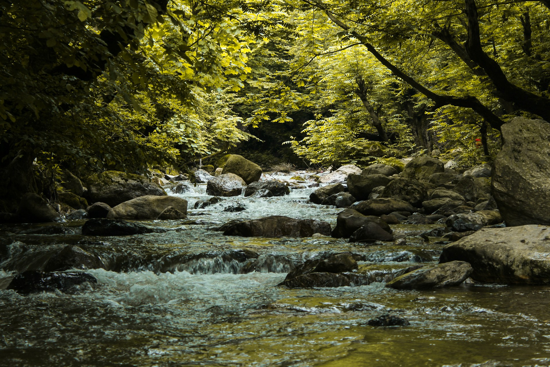 a river with rocks and trees