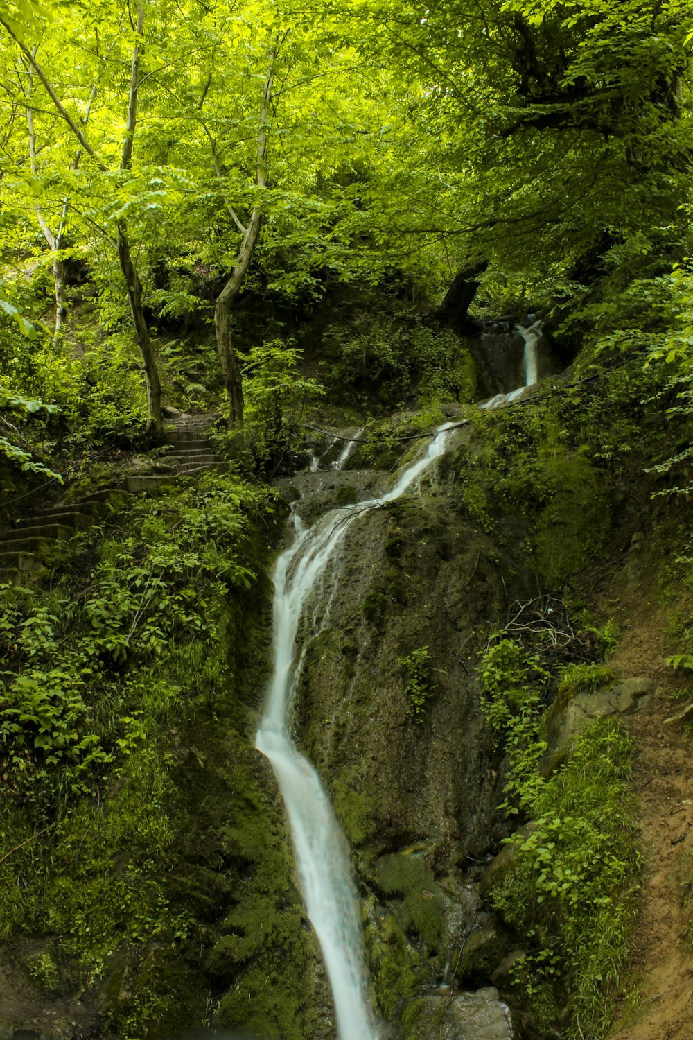 a waterfall in a forest