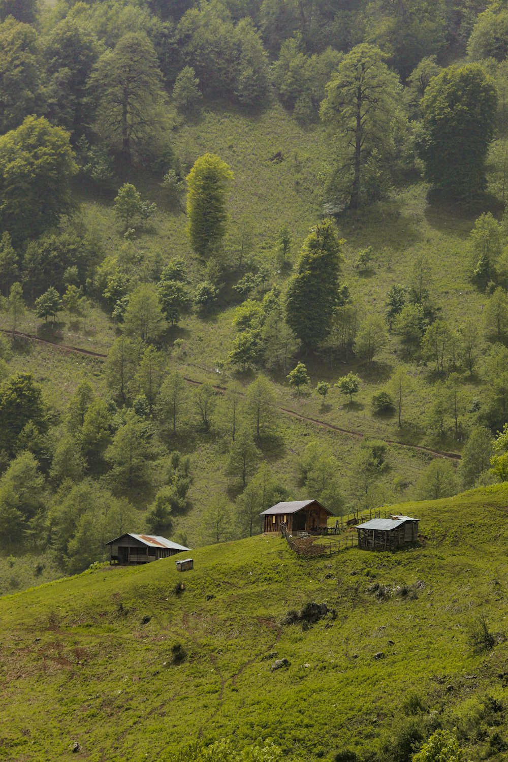 a couple of buildings in a field