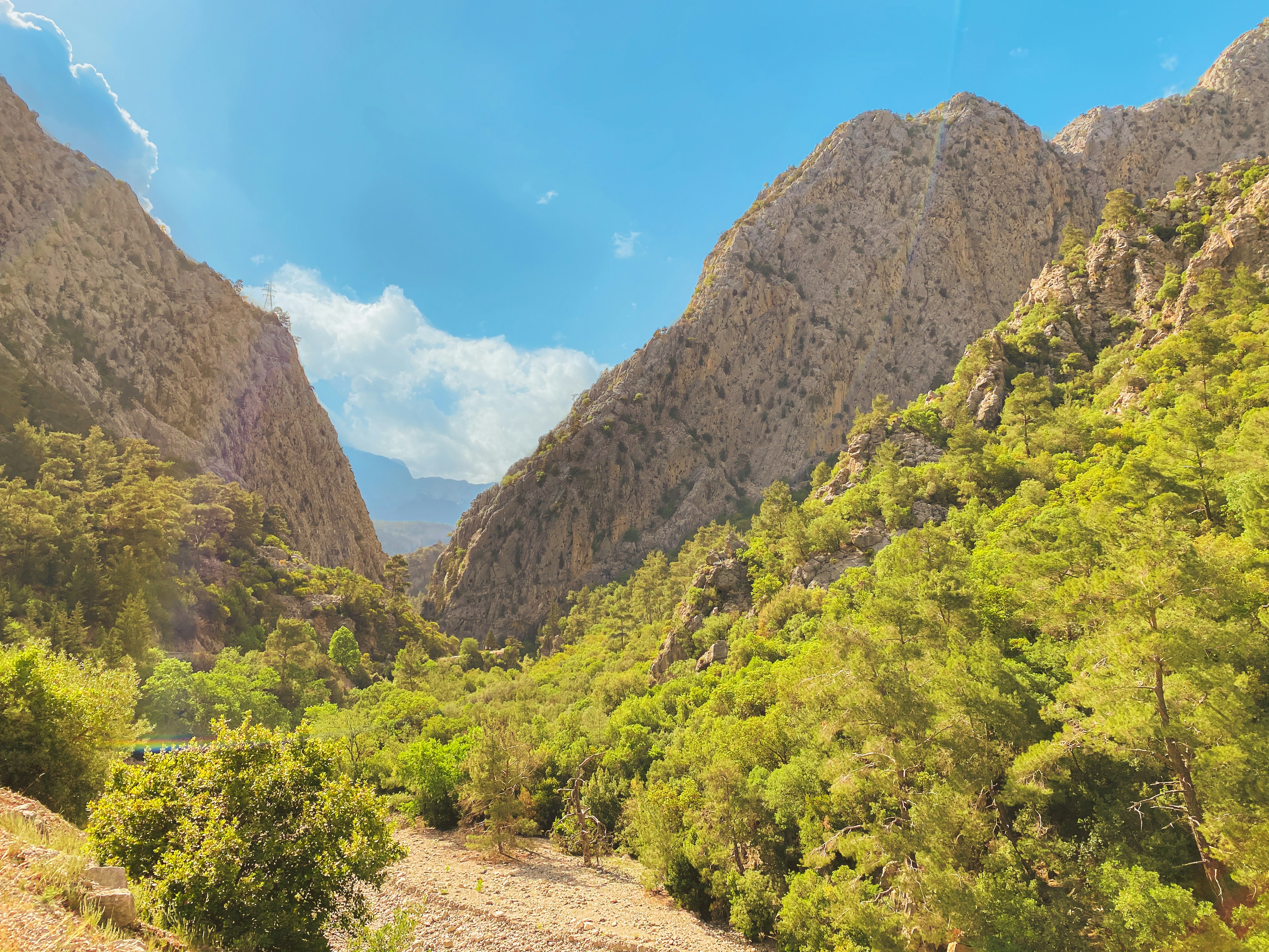 Photo by your_scorpion