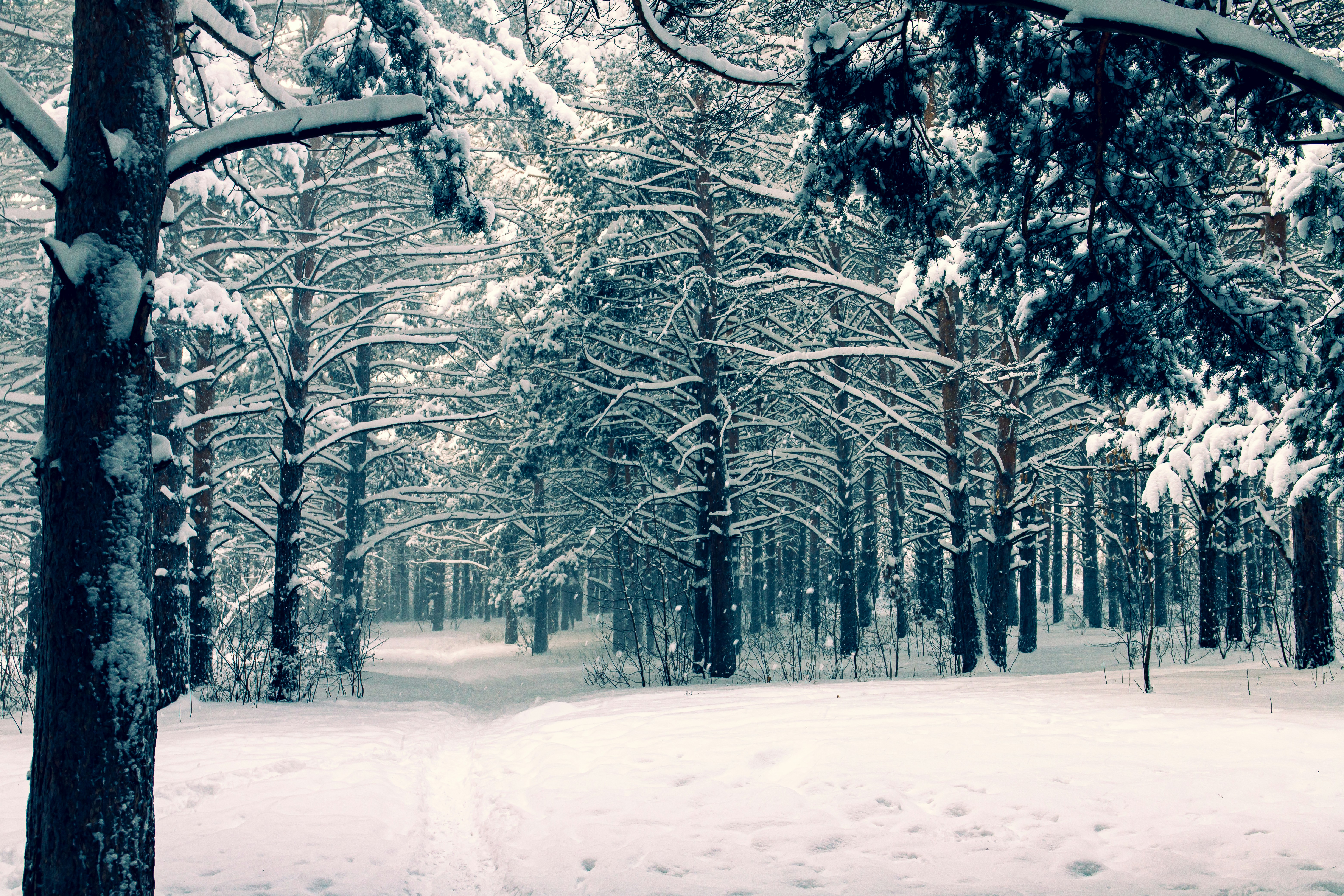 Photo by solomonikvik