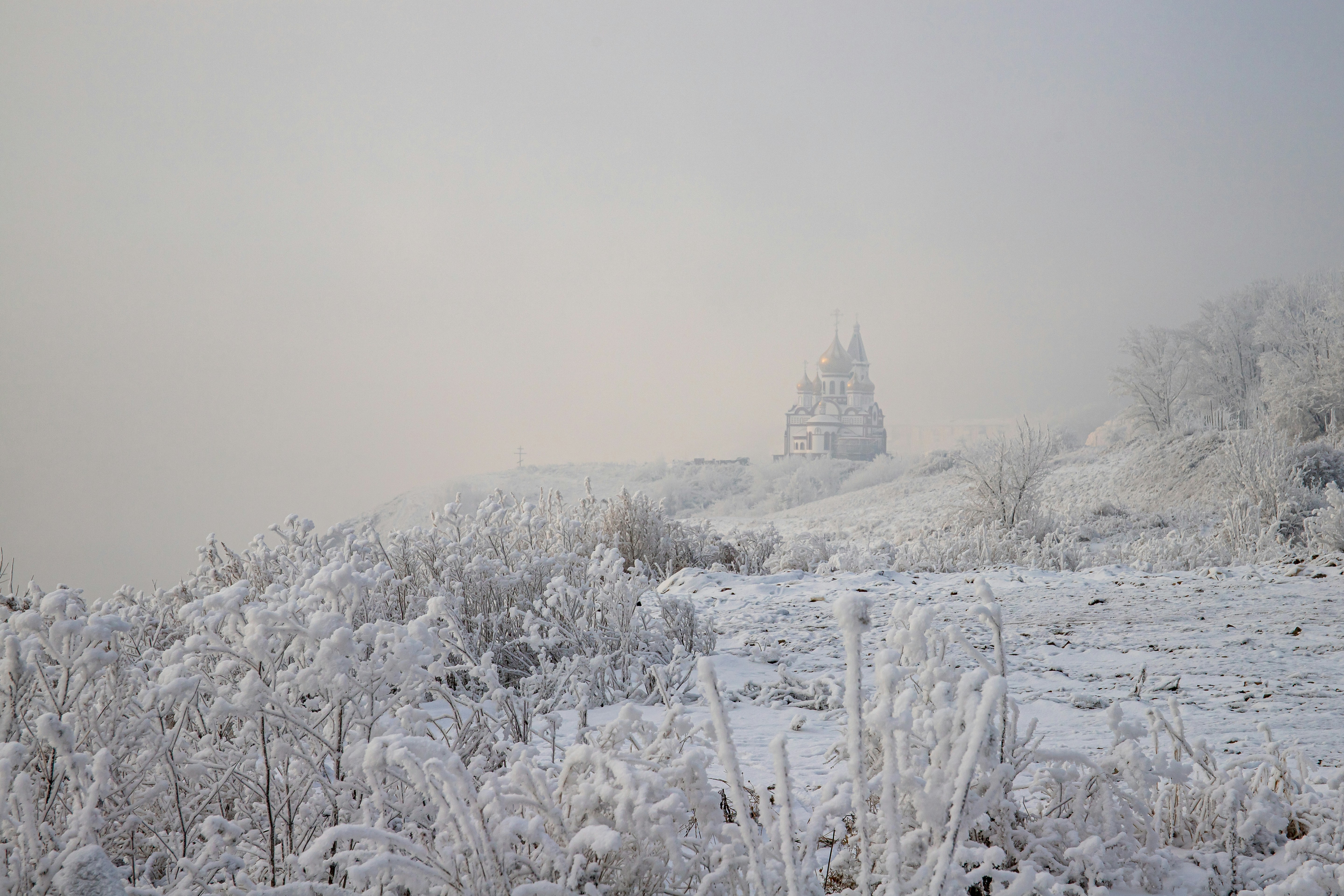 Photo by solomonikvik