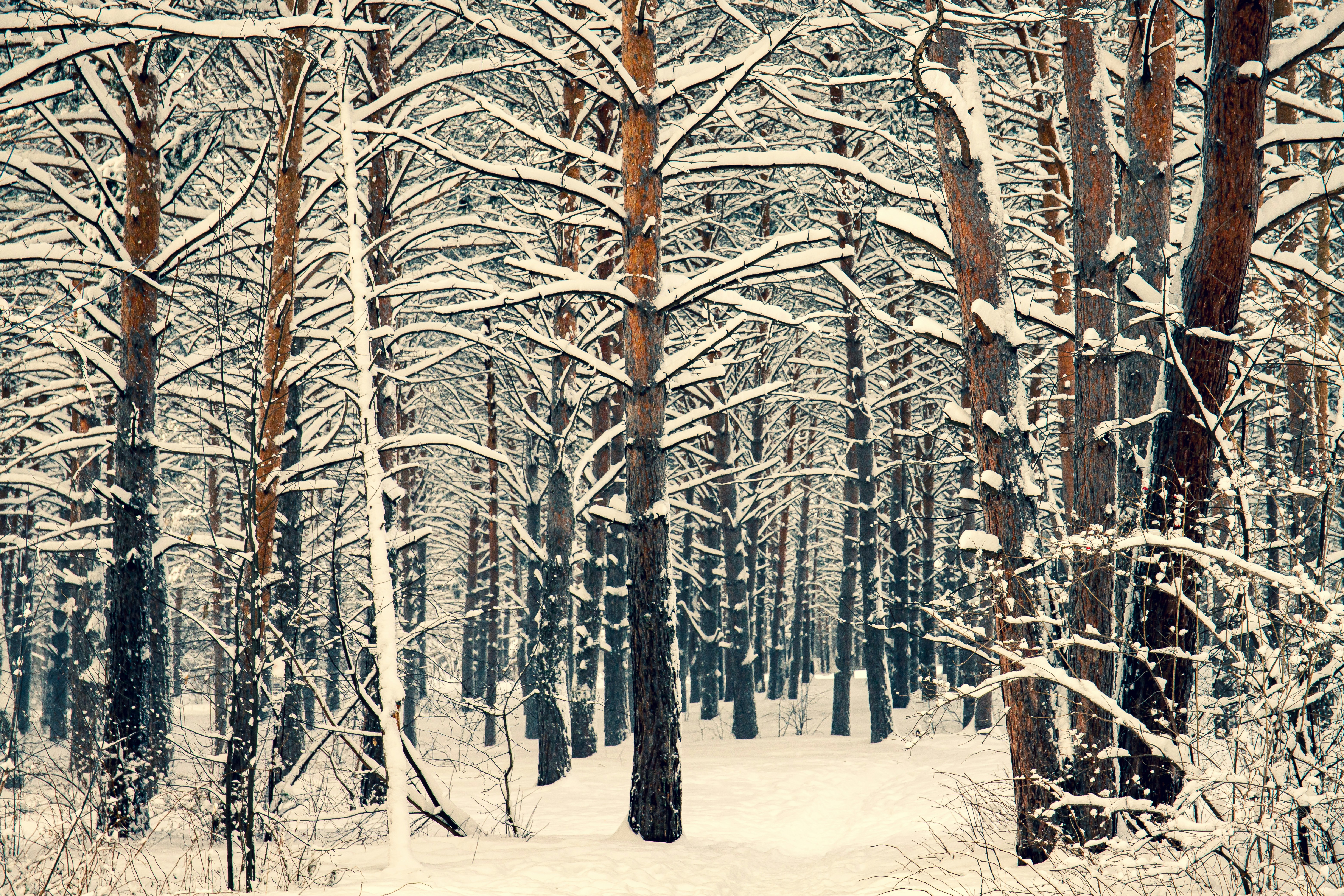 Photo by solomonikvik