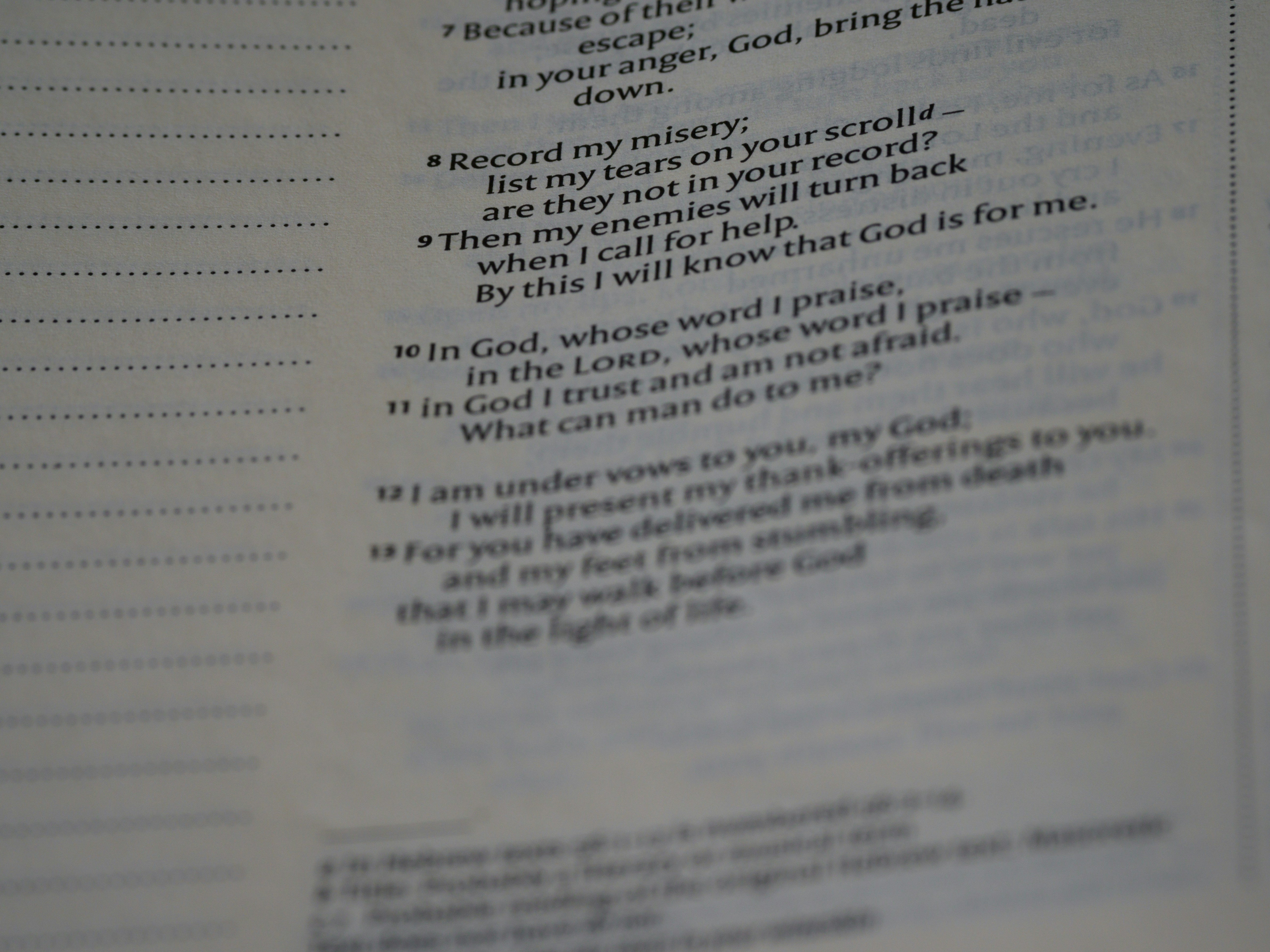 Photo by brett_jordan