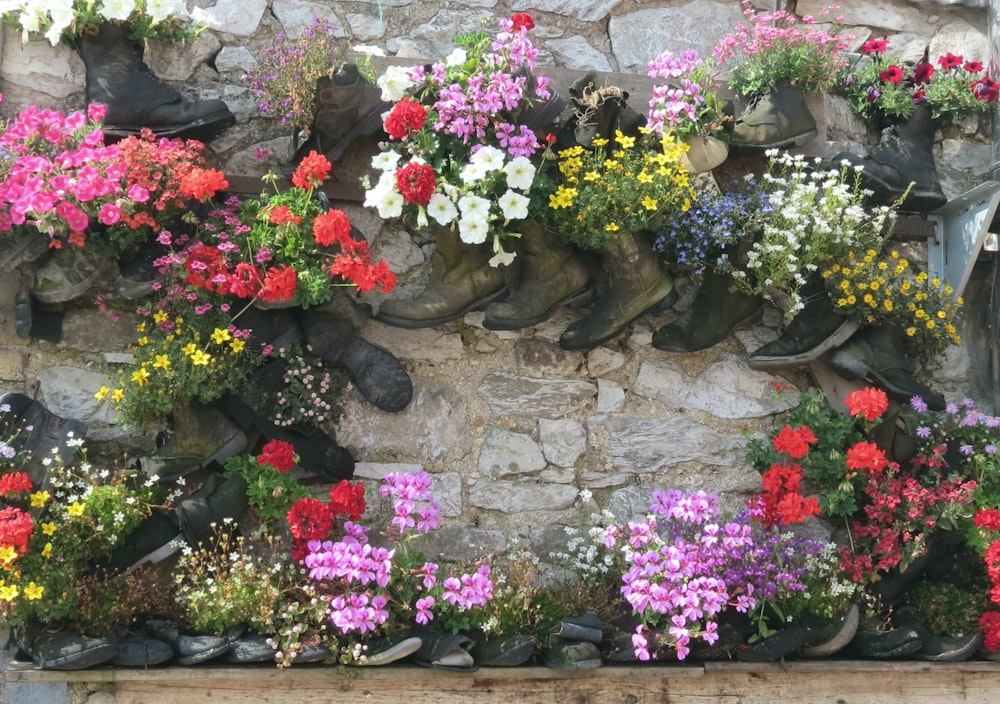 a group of flowers