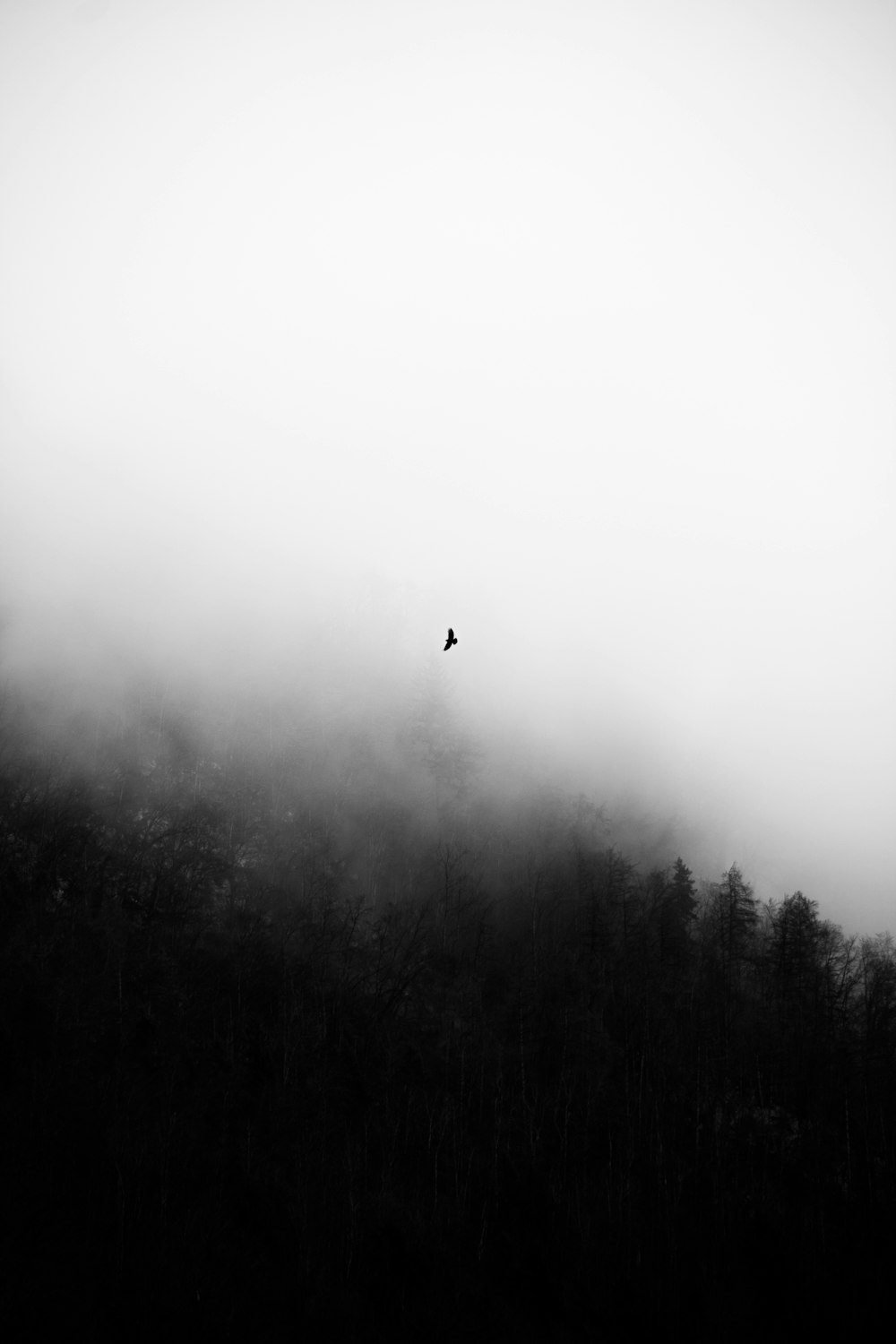 a bird flying over trees