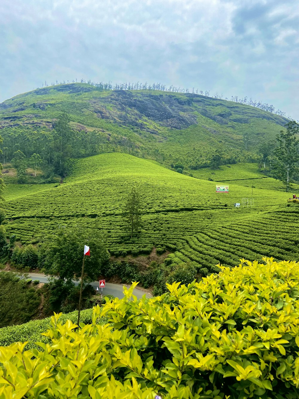 a green hilly landscape