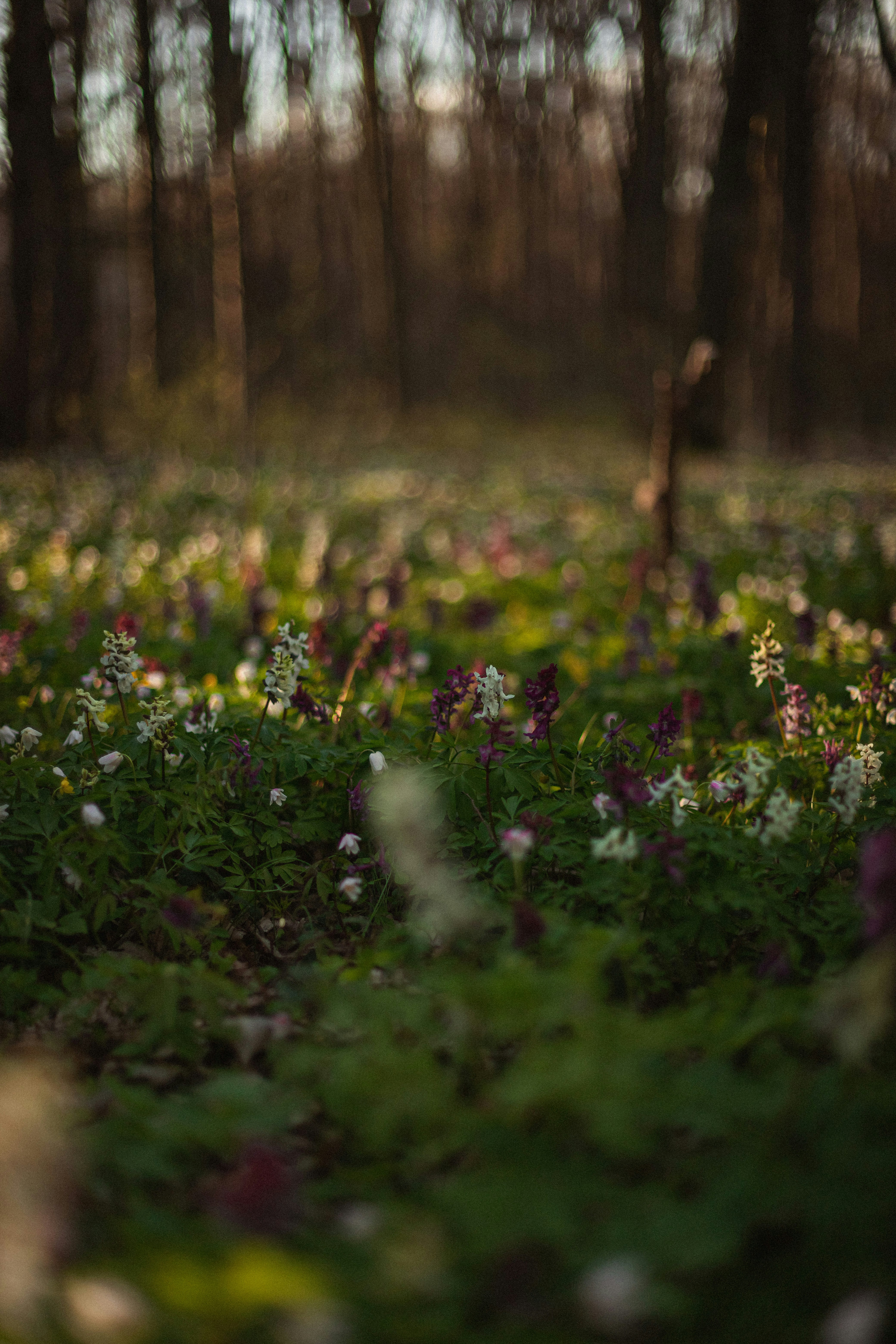 Photo by mykhailokopyt