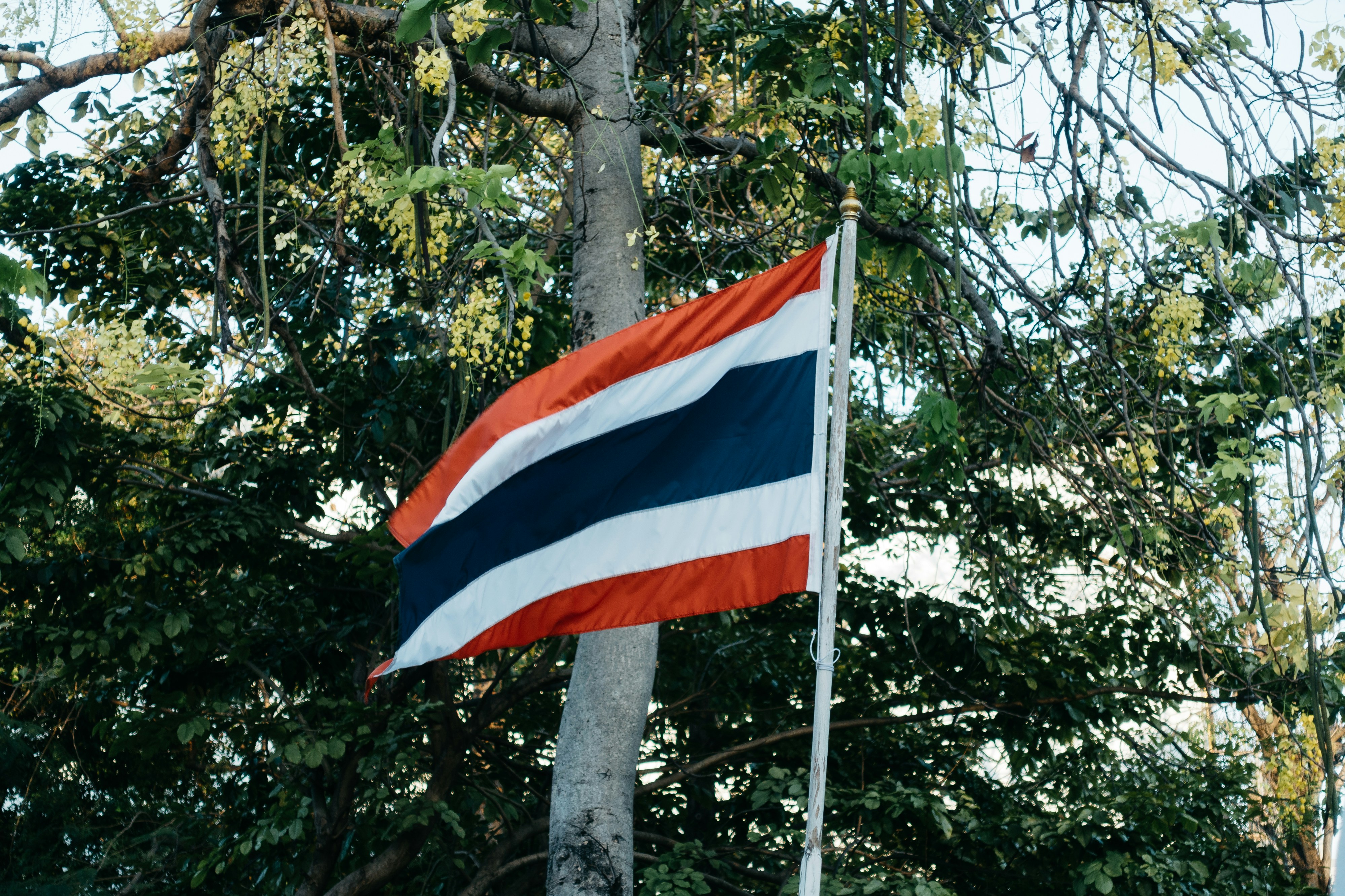a flag on a flagpole