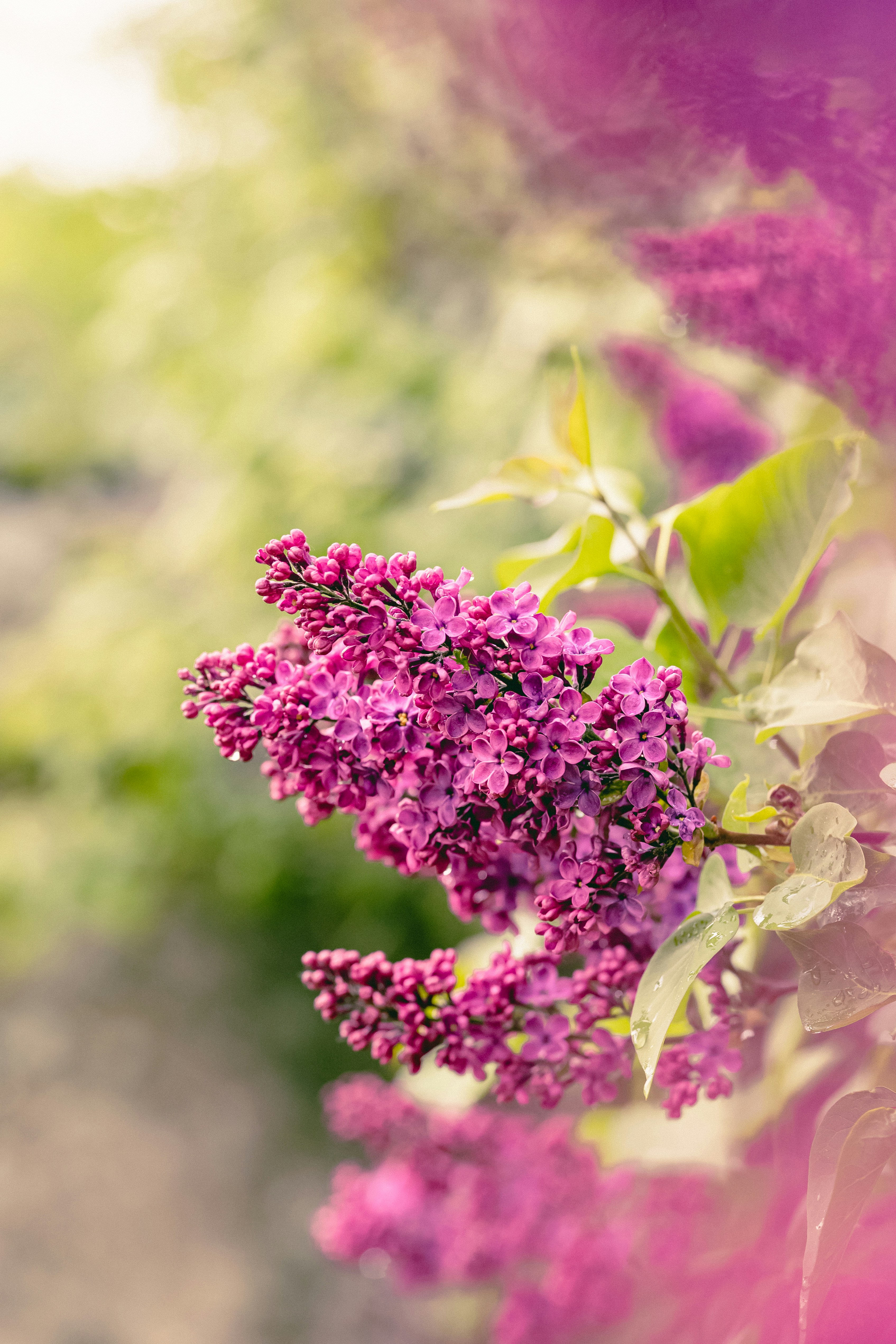 Photo by kekse_und_ich