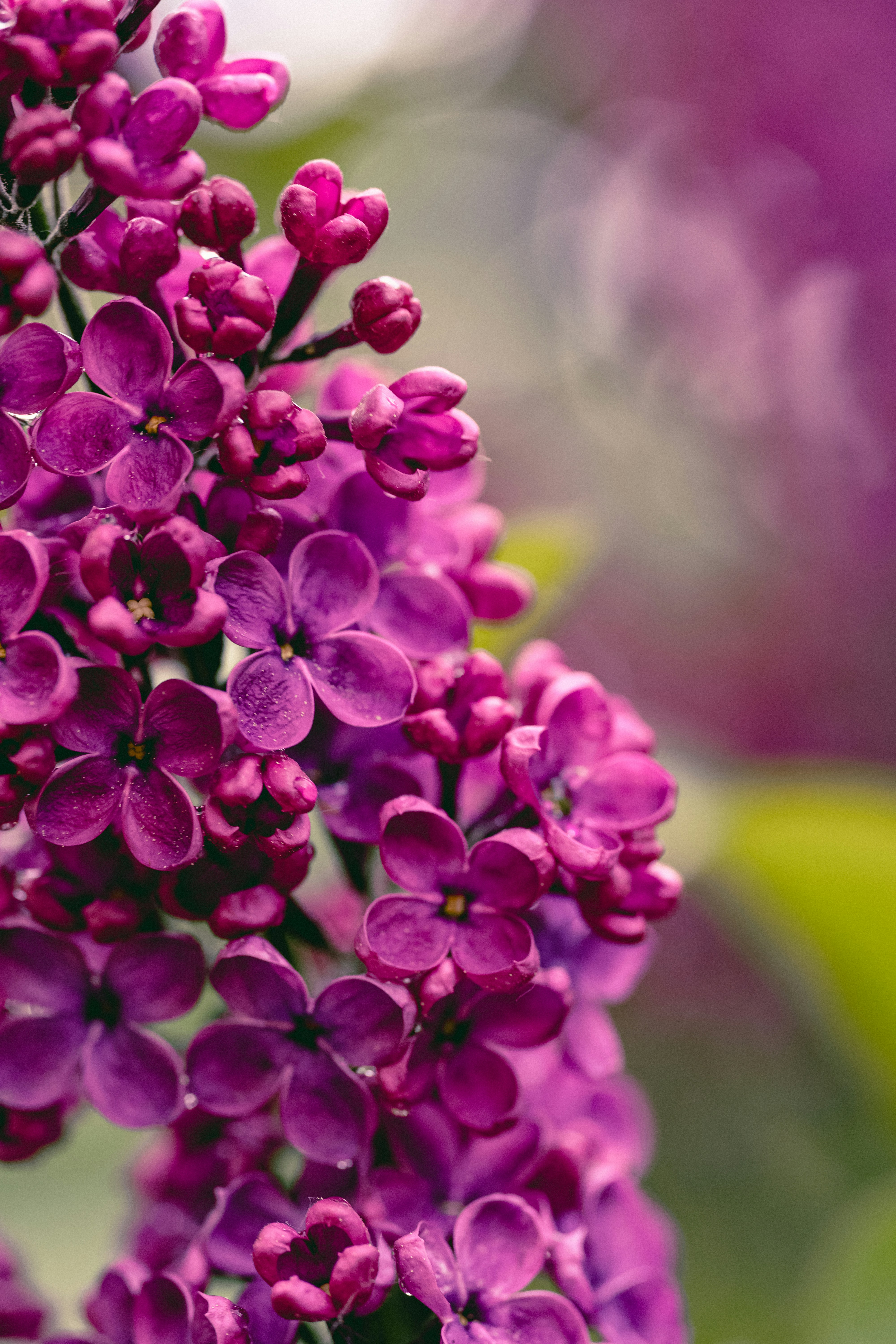 Photo by kekse_und_ich