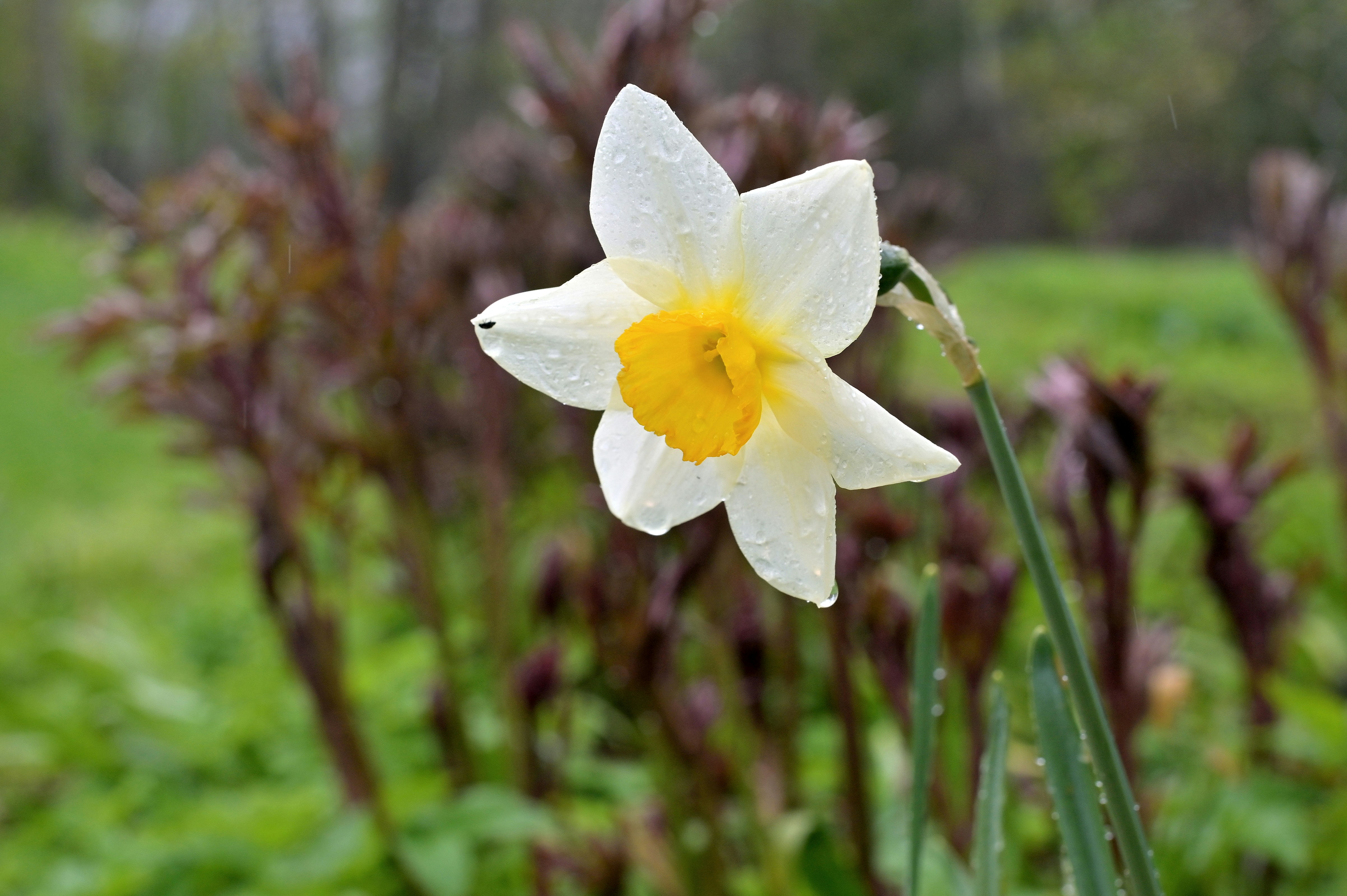 Photo by johnmcclane