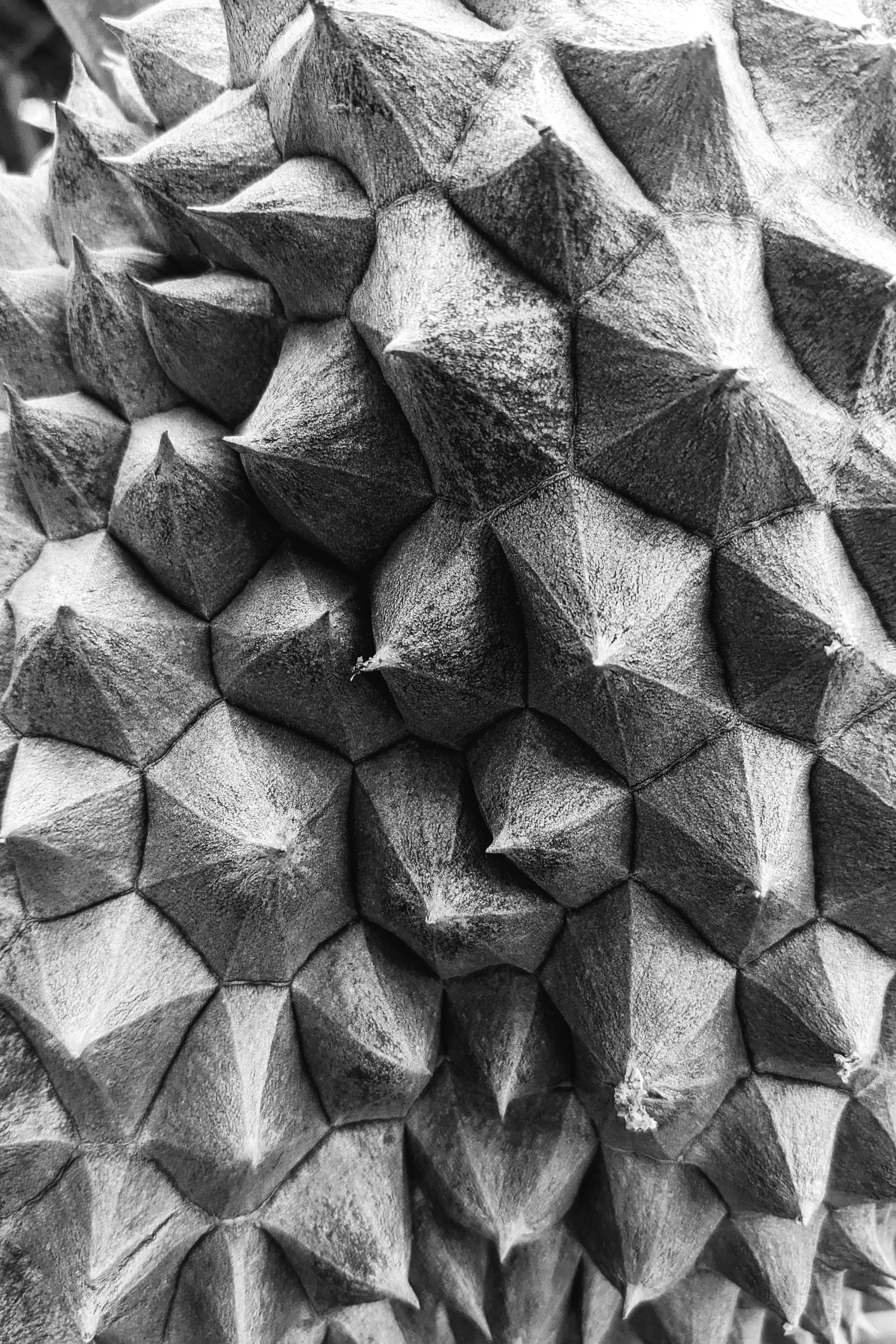 Photo by markuswinkler