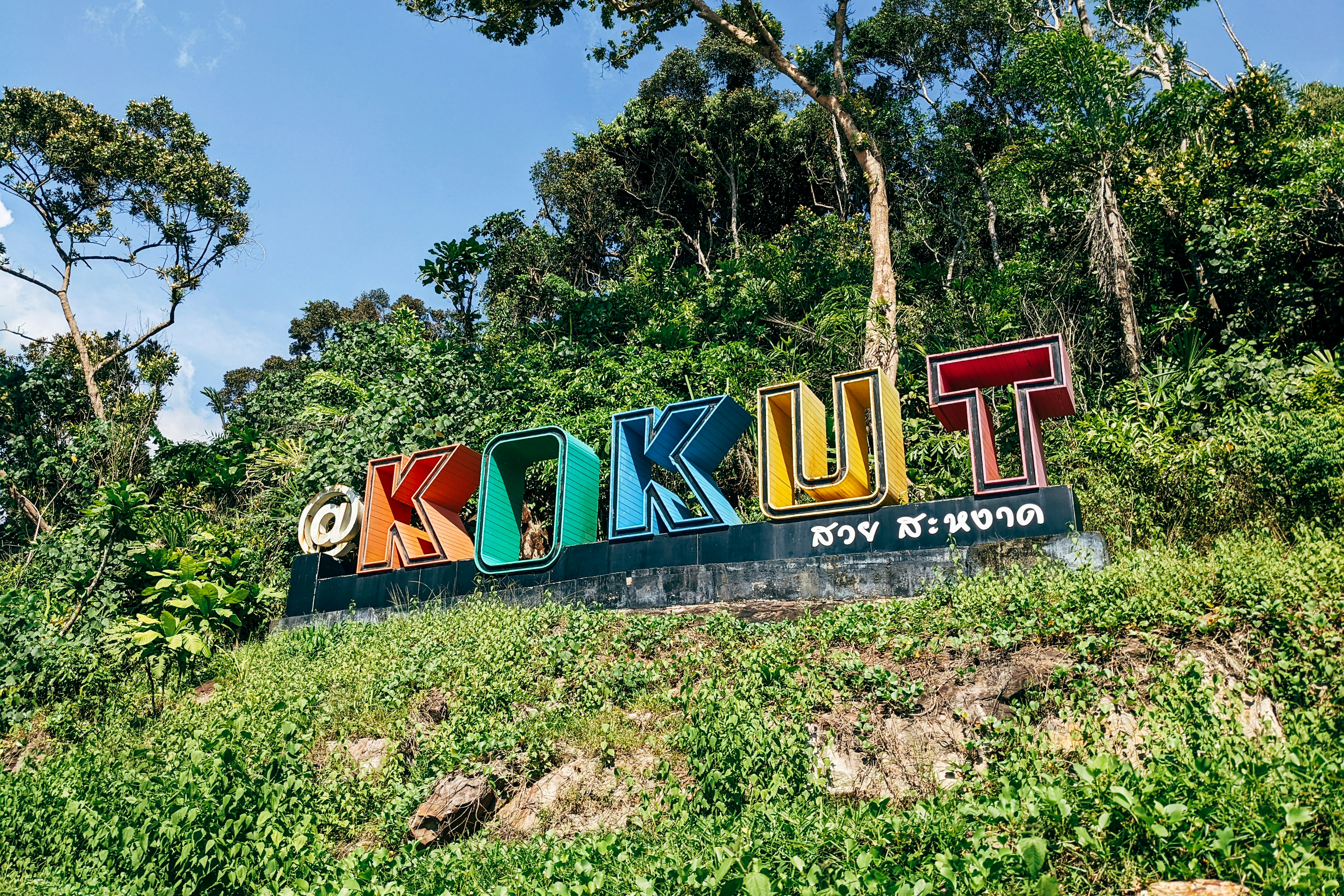 a sign in the middle of a forest