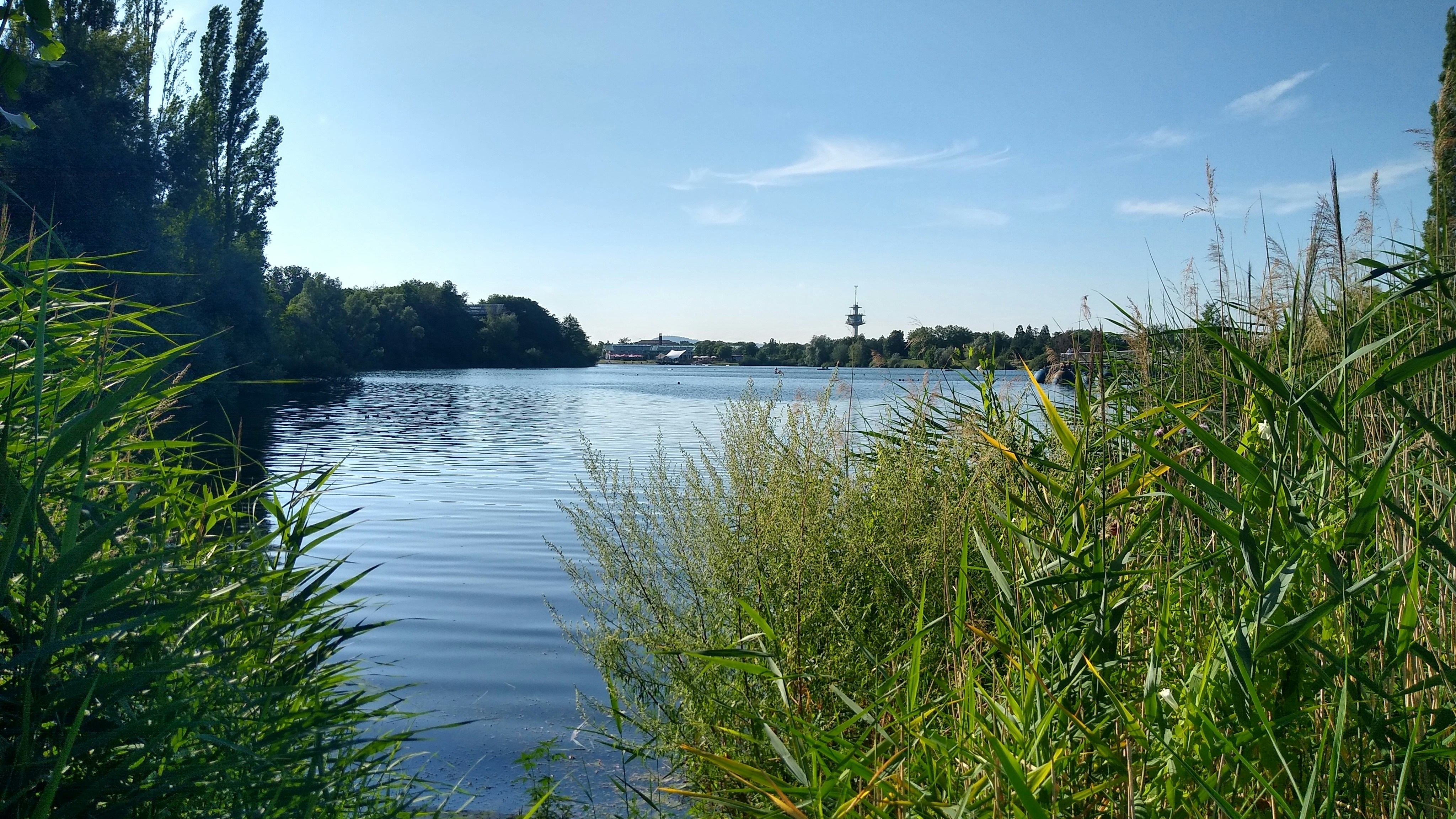 Photo by erde_an_anne