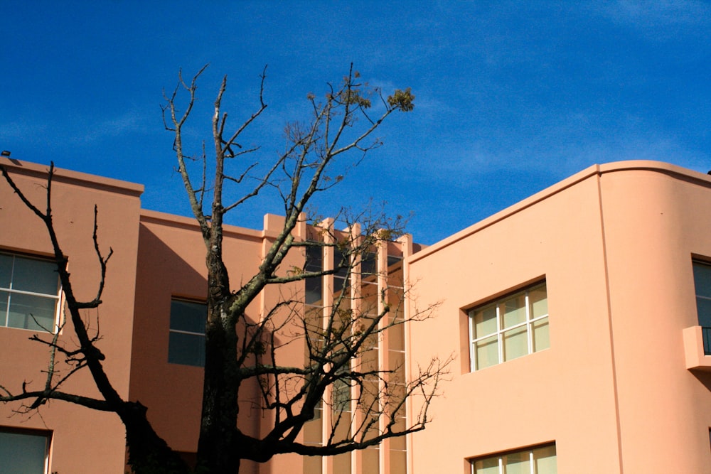 a building with trees in front of it