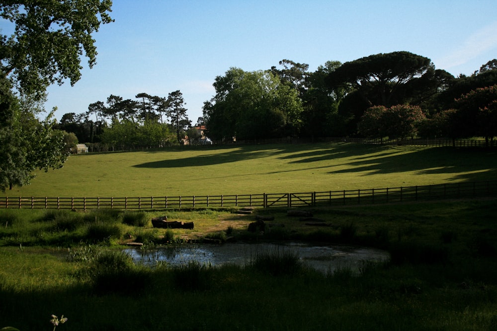un campo de golf con estanque