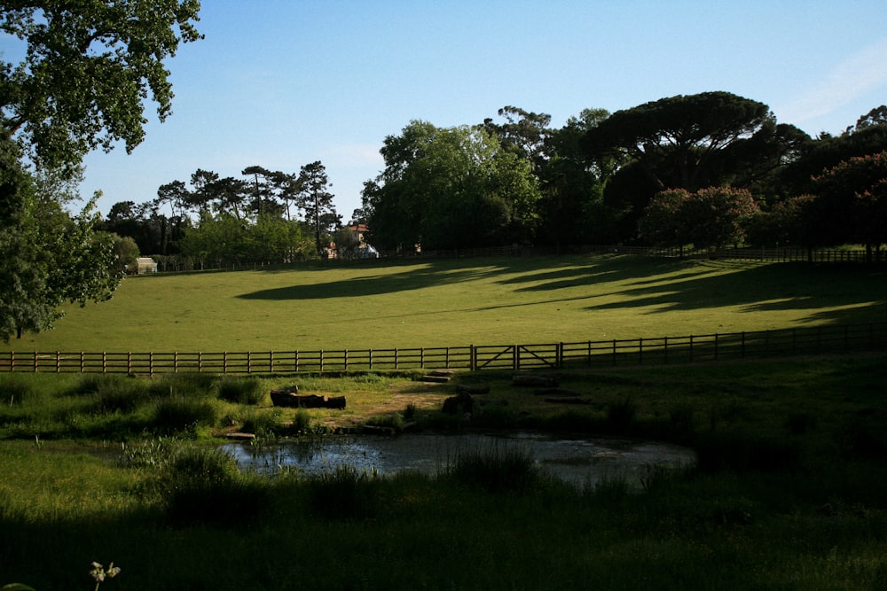 a golf course with a pond