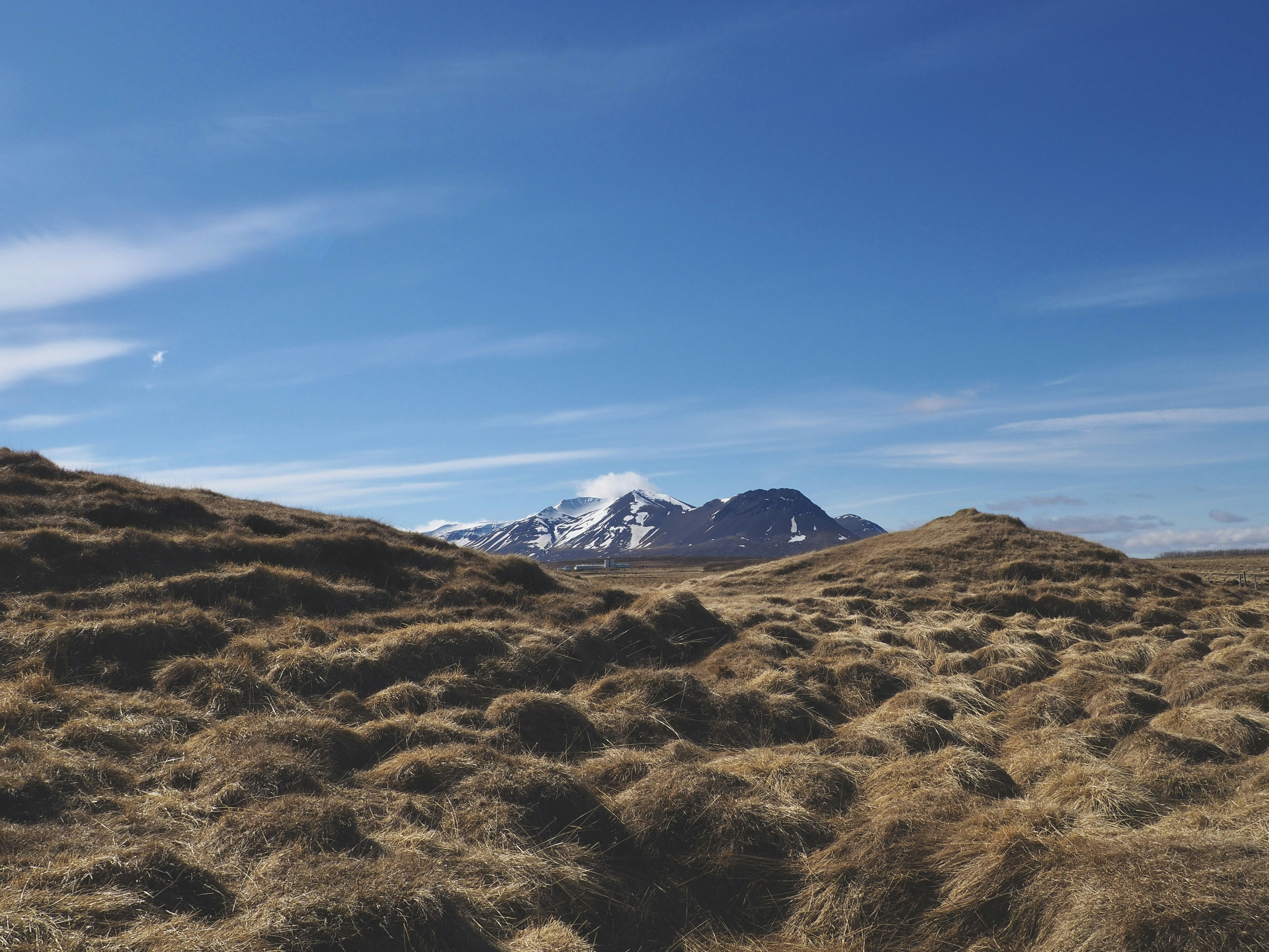 Photo by el_morillas