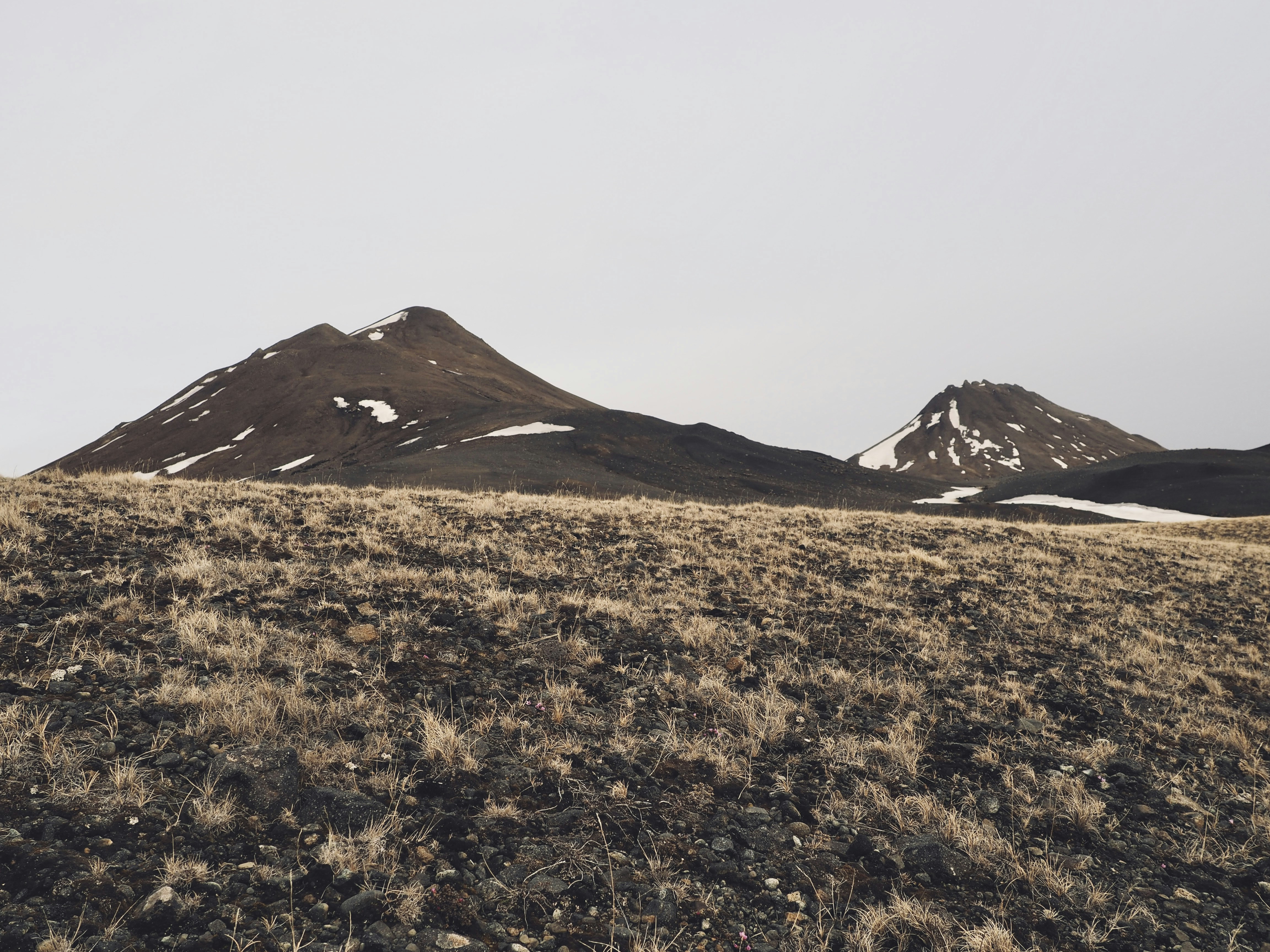 Photo by el_morillas