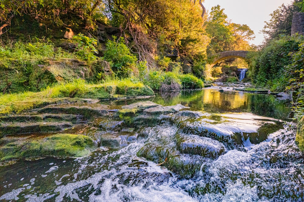 a river with a bridge over it