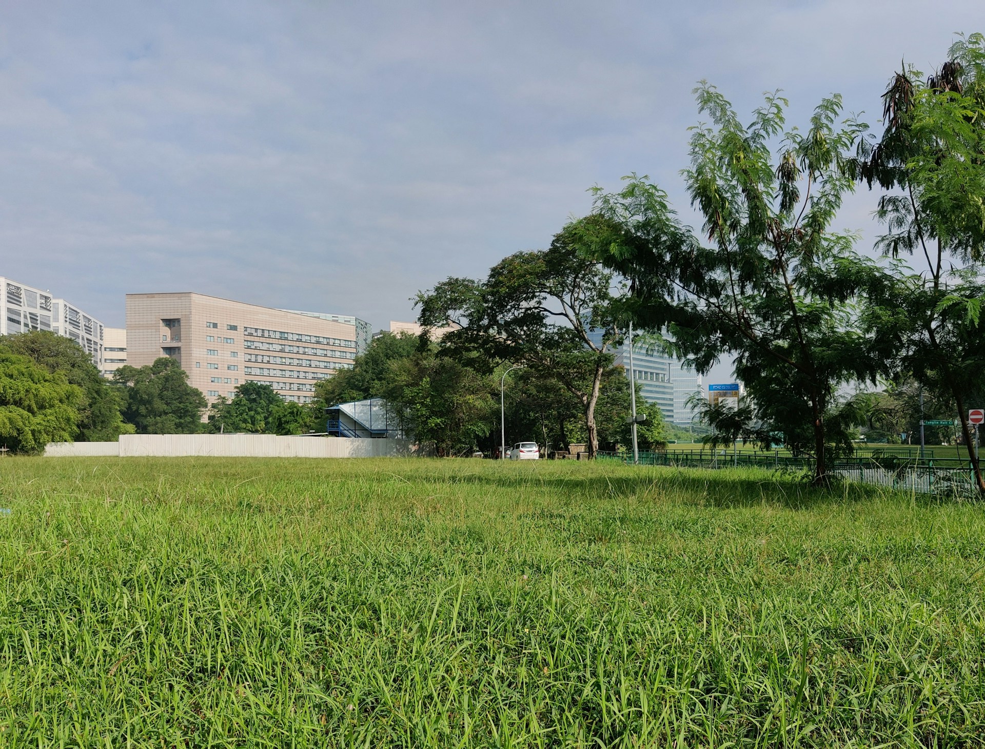 a grassy area with trees and buildings in the background
