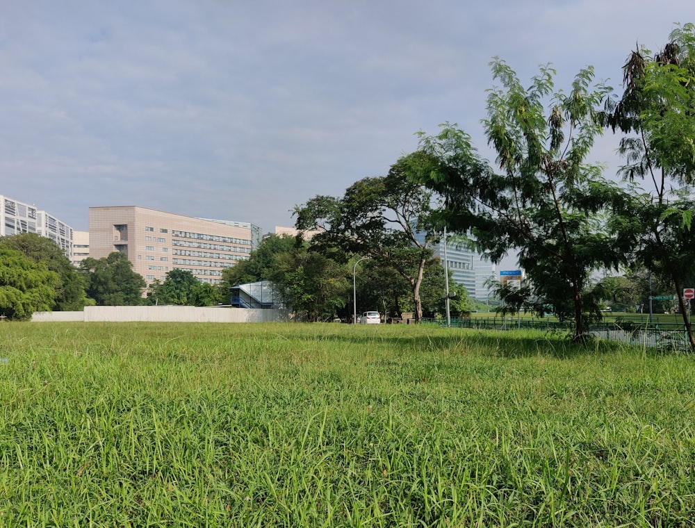 a grassy area with trees and buildings in the background