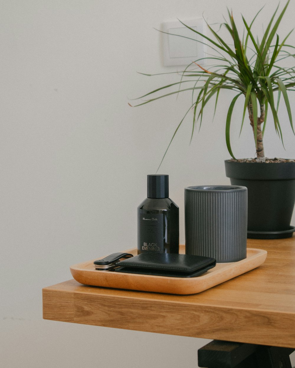 a plant on a table