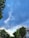 Electric wires stretch across a residential street lined with green trees and a few houses. The sky is filled with clouds, displaying a mix of blue and gray tones.