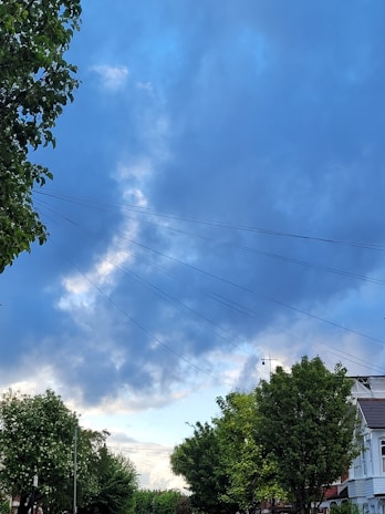 Electric wires stretch across a residential street lined with green trees and a few houses. The sky is filled with clouds, displaying a mix of blue and gray tones.