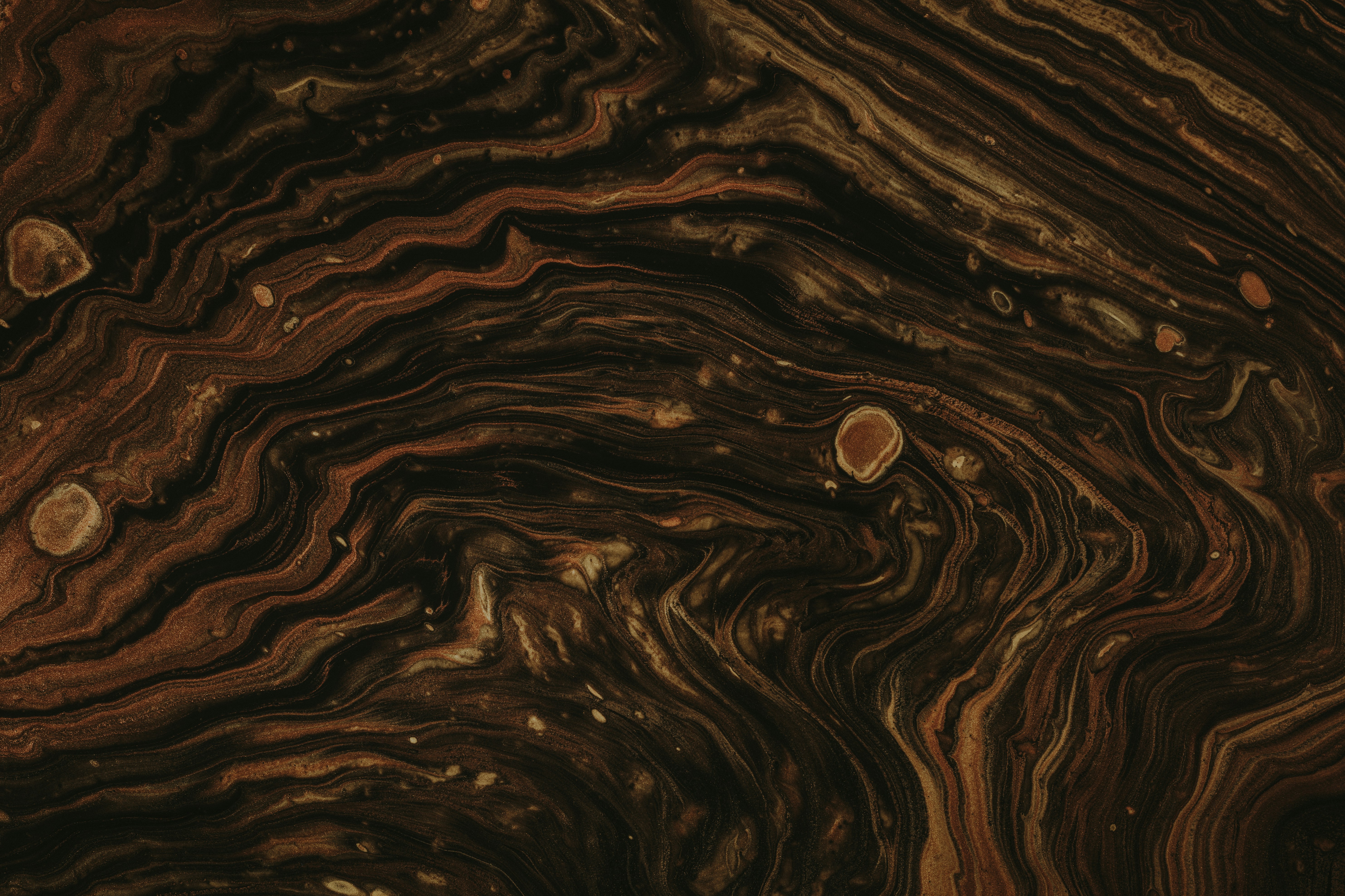 Photo by pawel_czerwinski