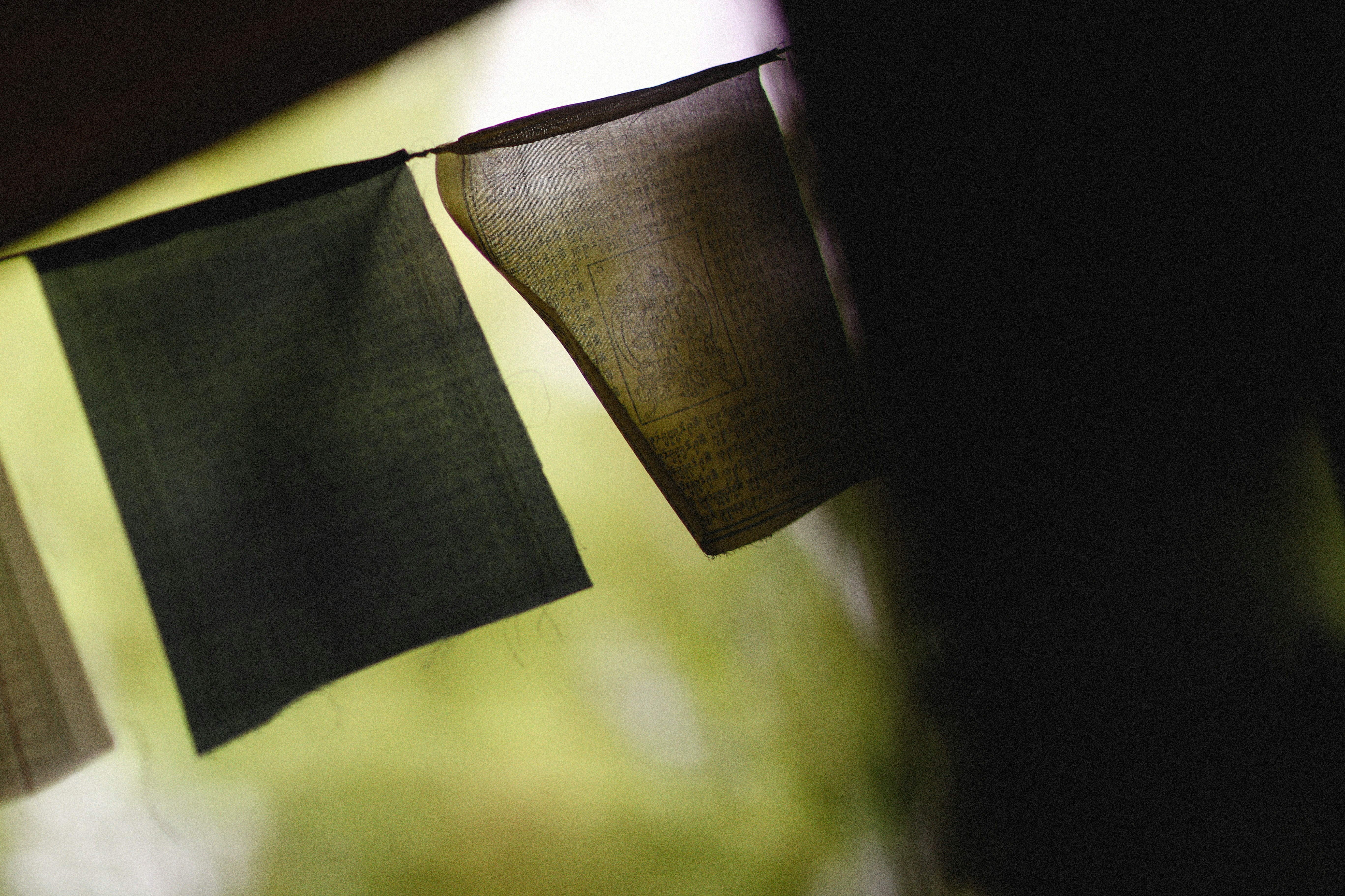 Photo by alexeydemidov