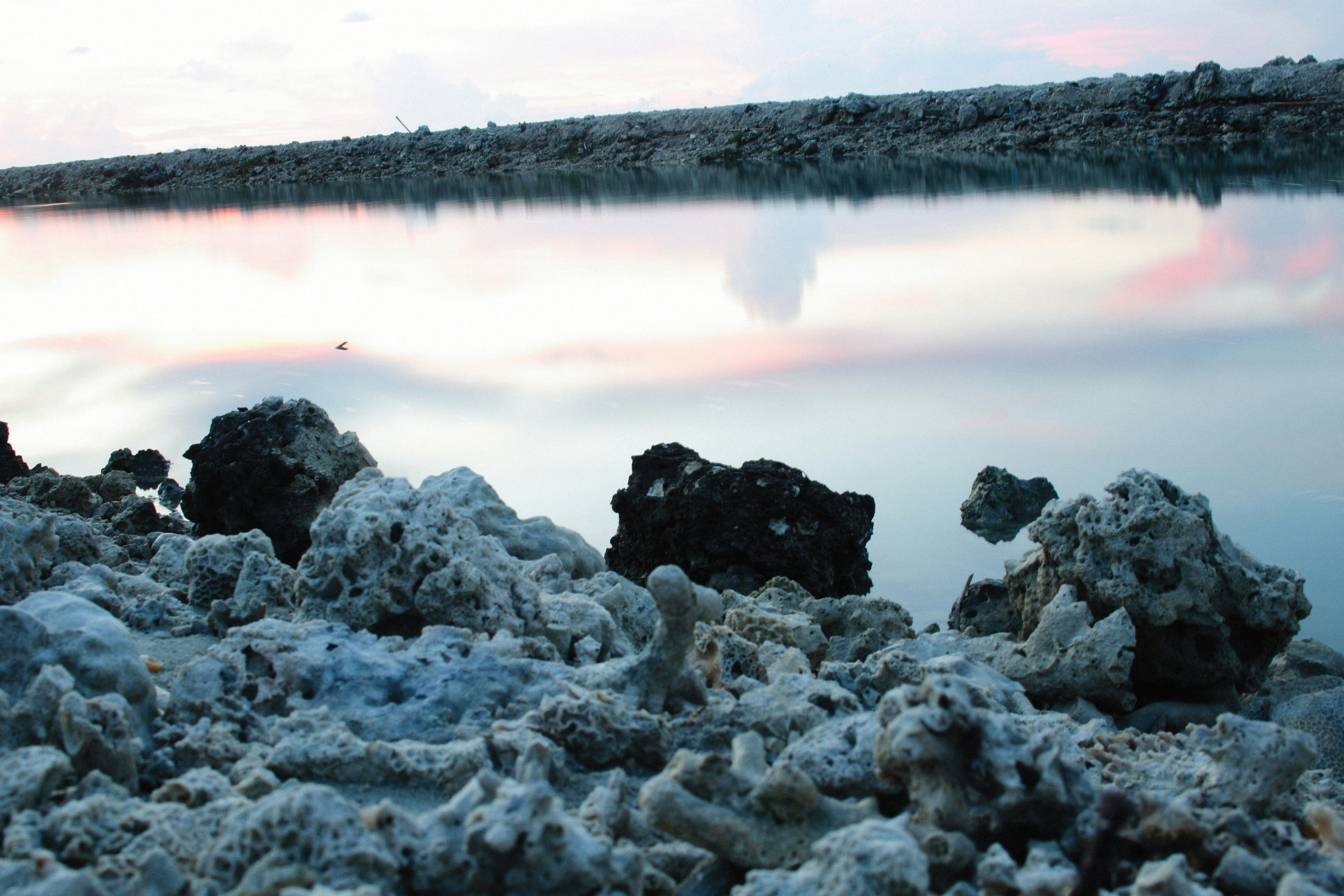 Photo by alexeydemidov