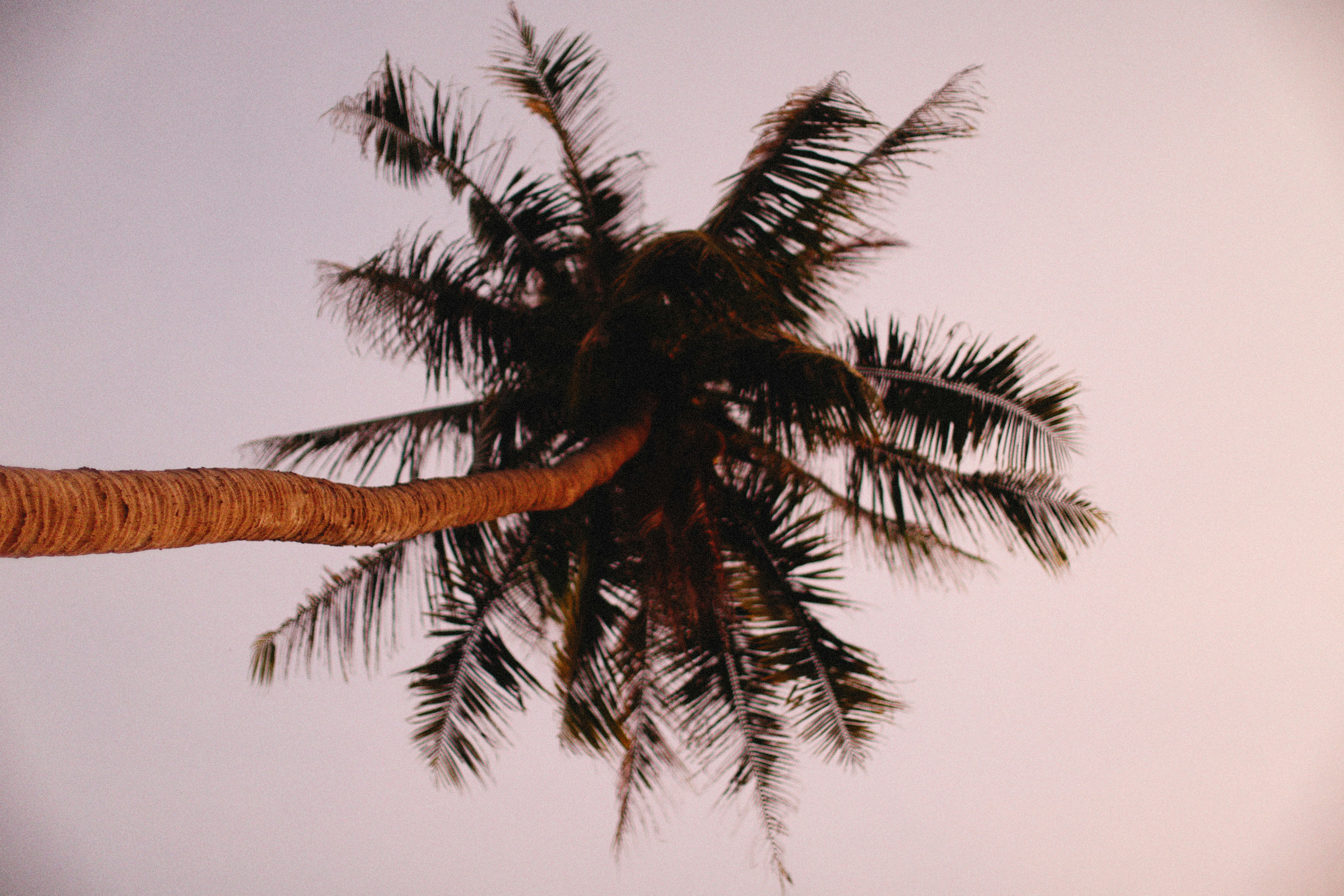 Photo by alexeydemidov