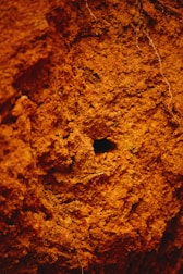 Close-up of a borehole with soil layers visible.