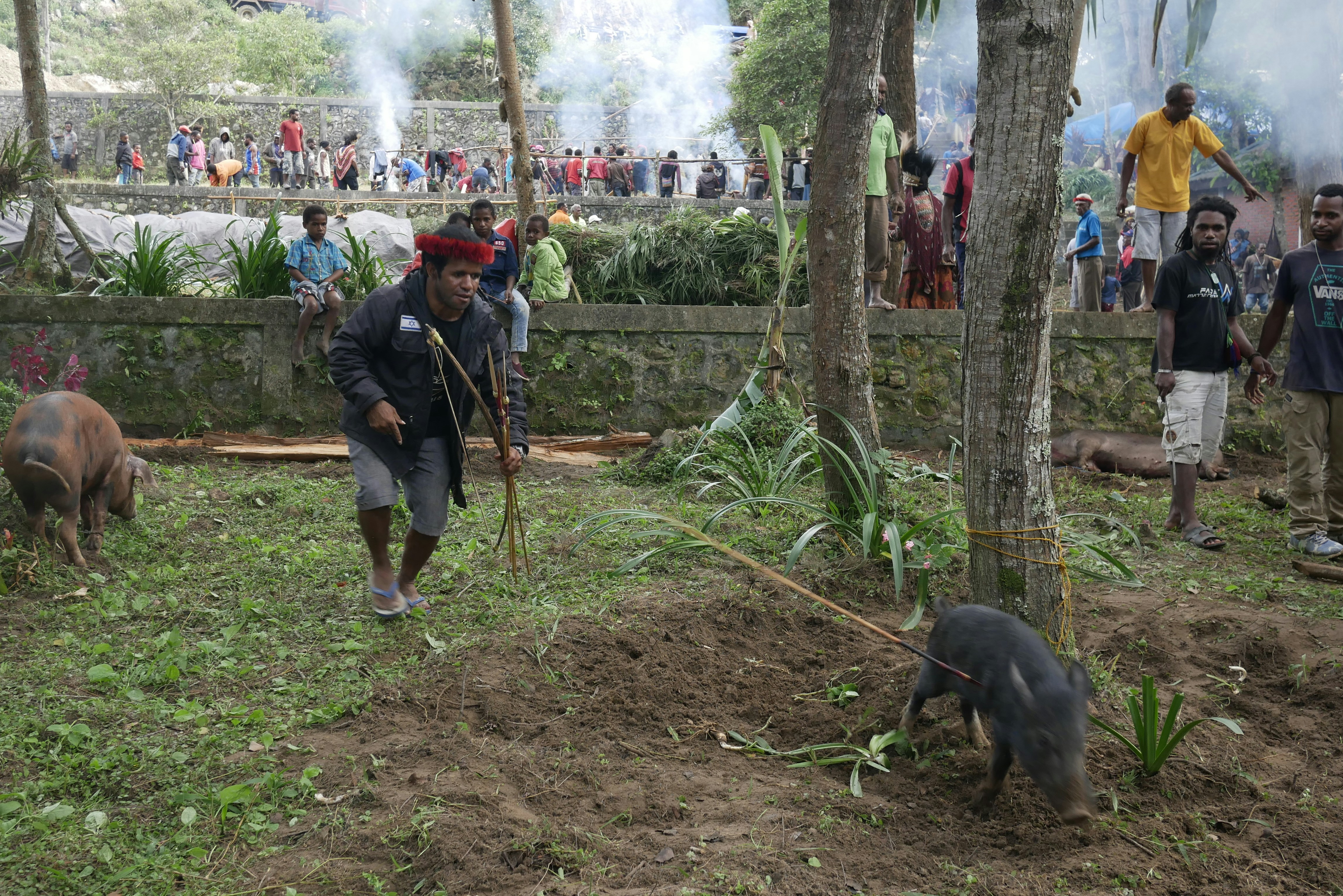 seseorang dengan tongkat dan beberapa hewan di pameran kebun binatang