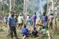 A group of people gathered in a forested area, some standing and others seated around a small fire. The scene includes fallen branches and a smoky atmosphere. Various individuals are engaged in conversation or activities related to the gathering. The background reveals tall, slender trees and a white building with red accents.
