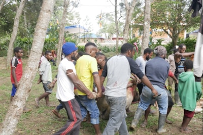 A group of people are gathered outdoors in a wooded area, working together to carry a large object or perhaps an animal. They appear to be focused, collaborating in their efforts. Some are wearing casual clothing, while others are in work attire. The setting seems to be rural, with trees and greenery around.