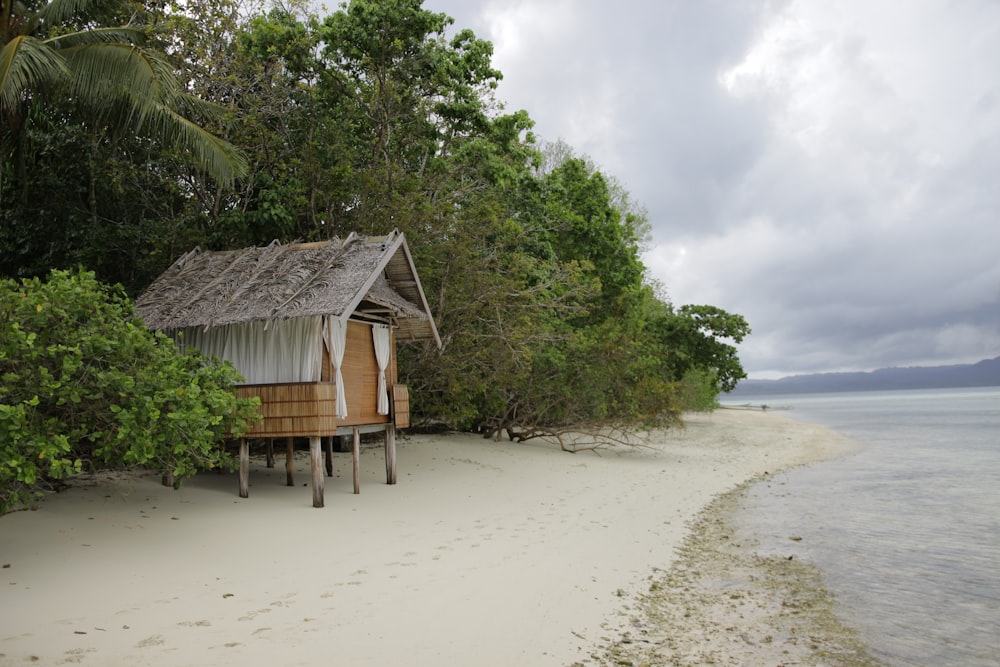 a hut on a beach