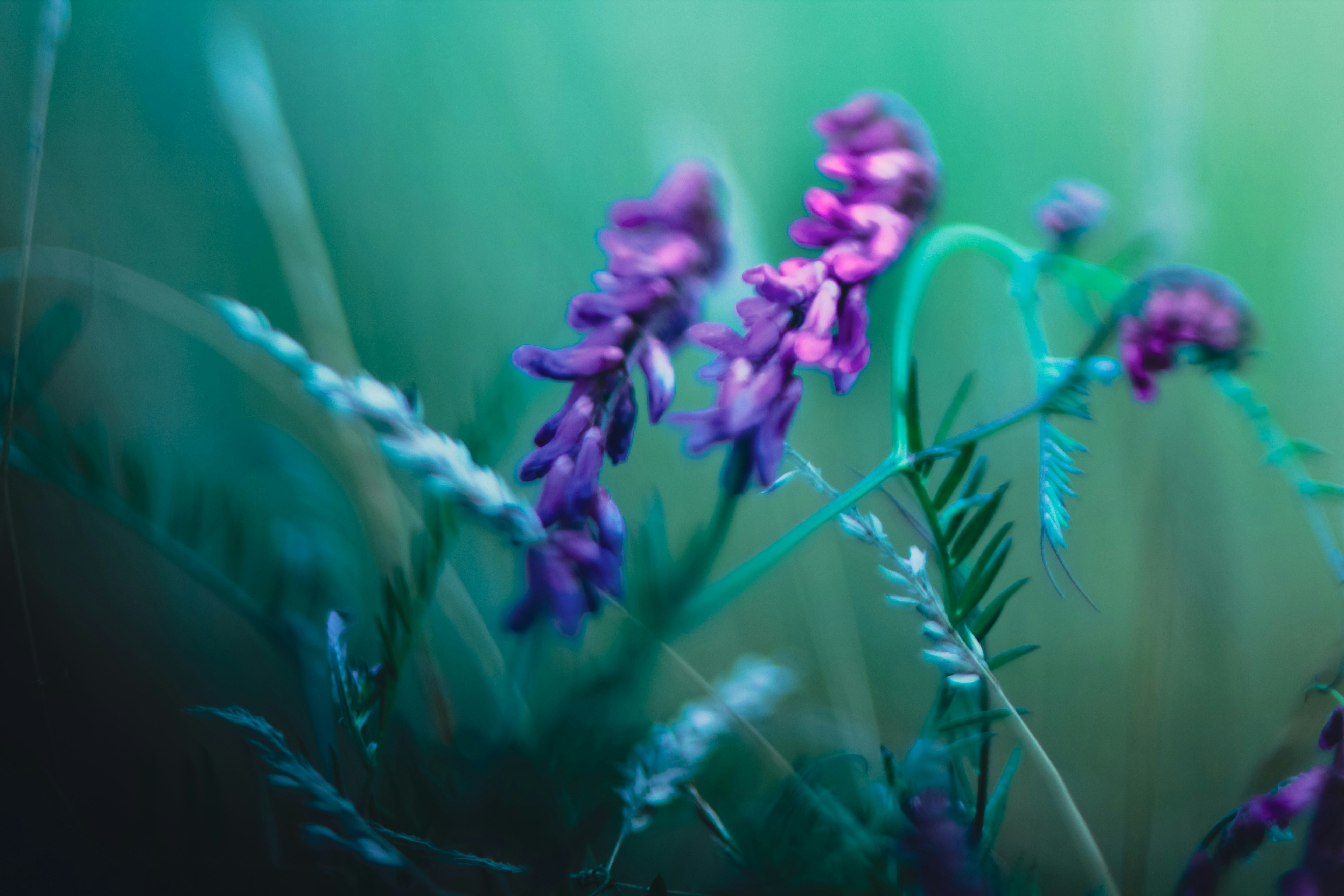 Photo by aneta_sandhu