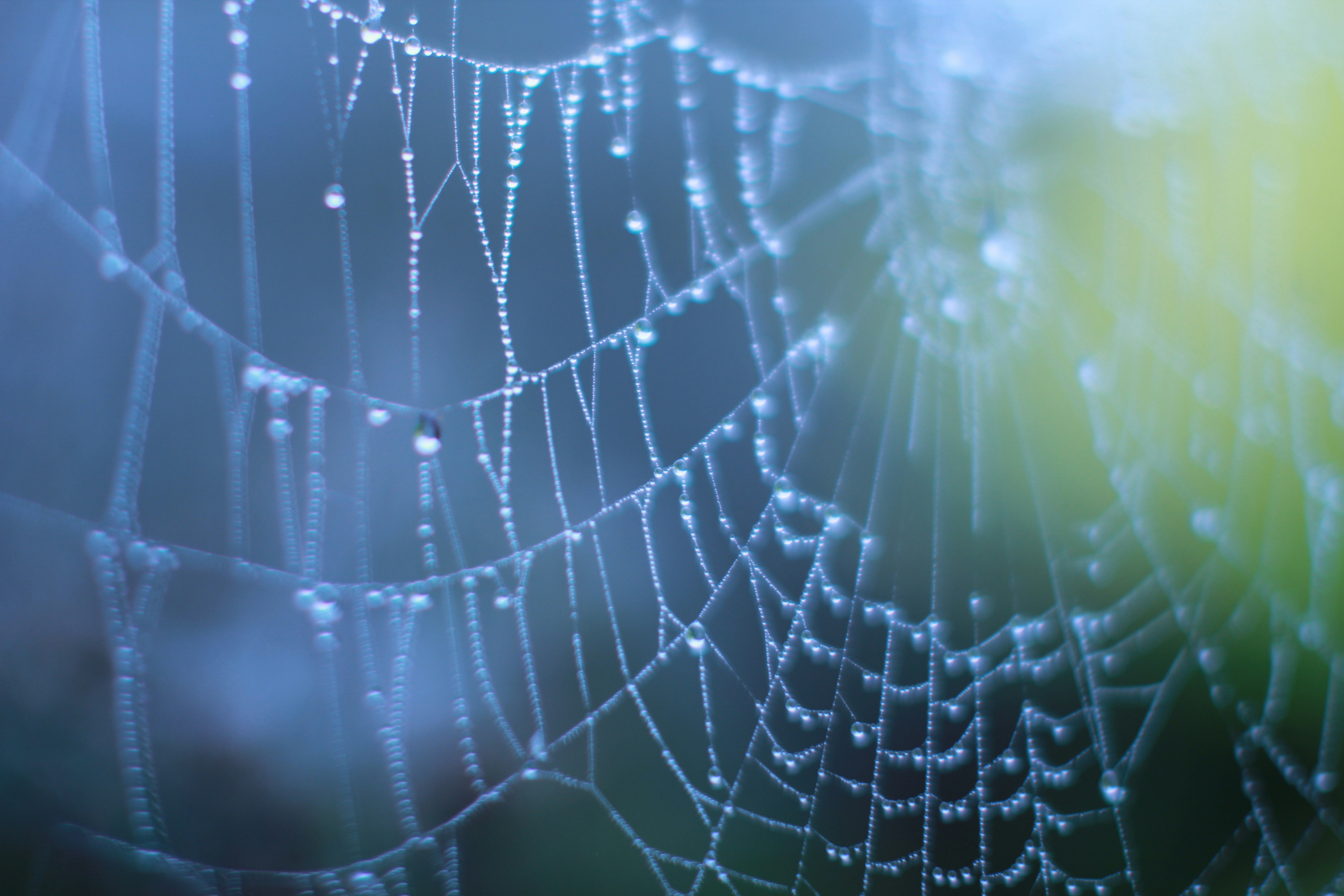 Photo by aneta_sandhu