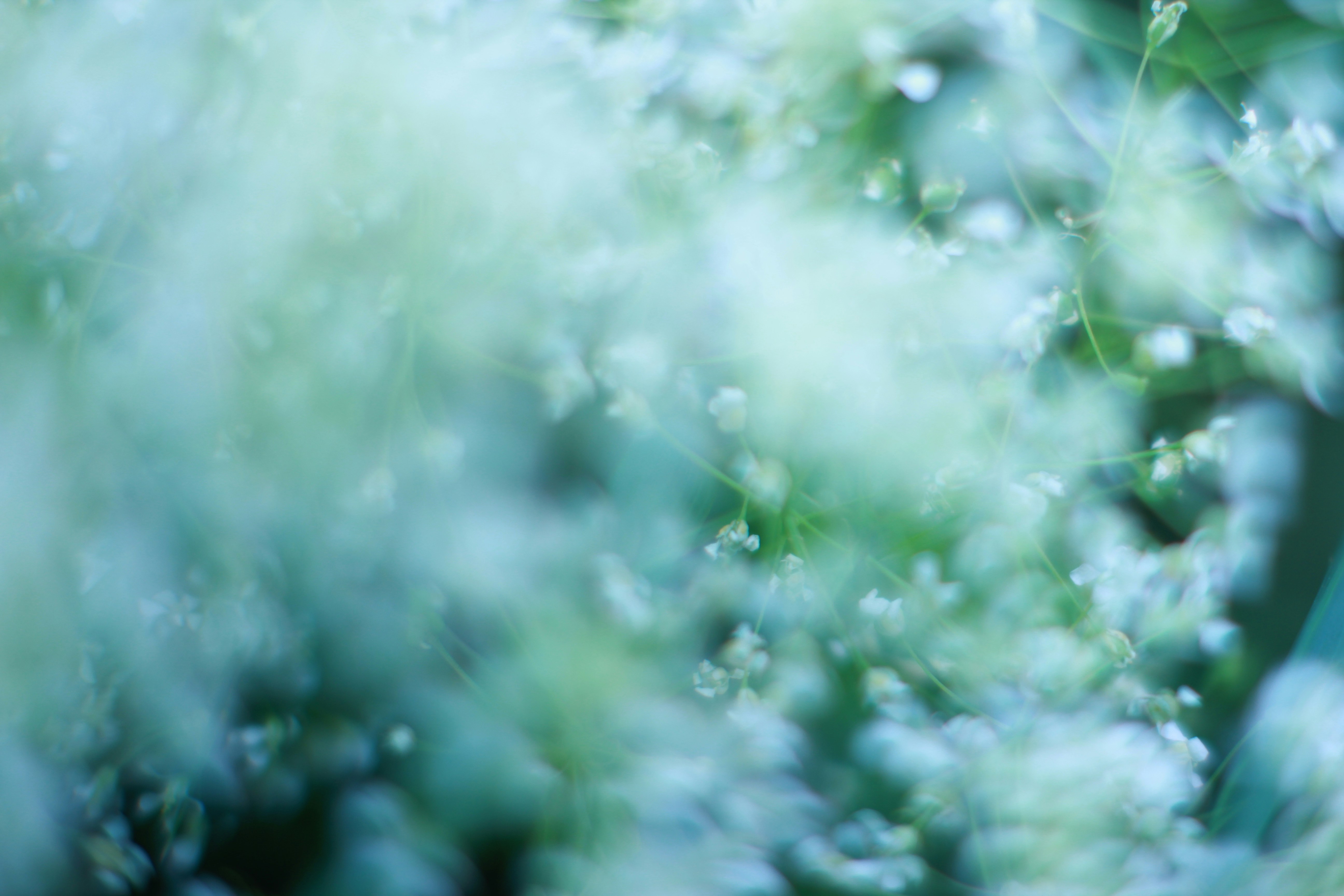 Photo by aneta_sandhu