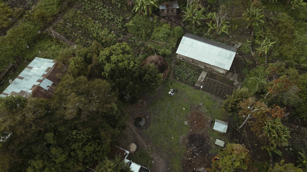 uma casa rodeada de árvores