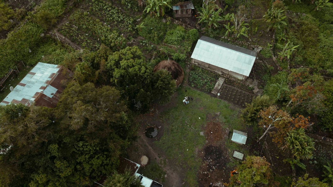 Landscape photo spot Wamena Papua