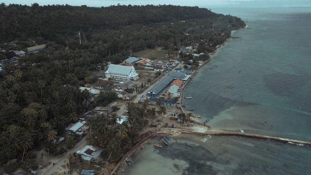 a beach with houses and trees