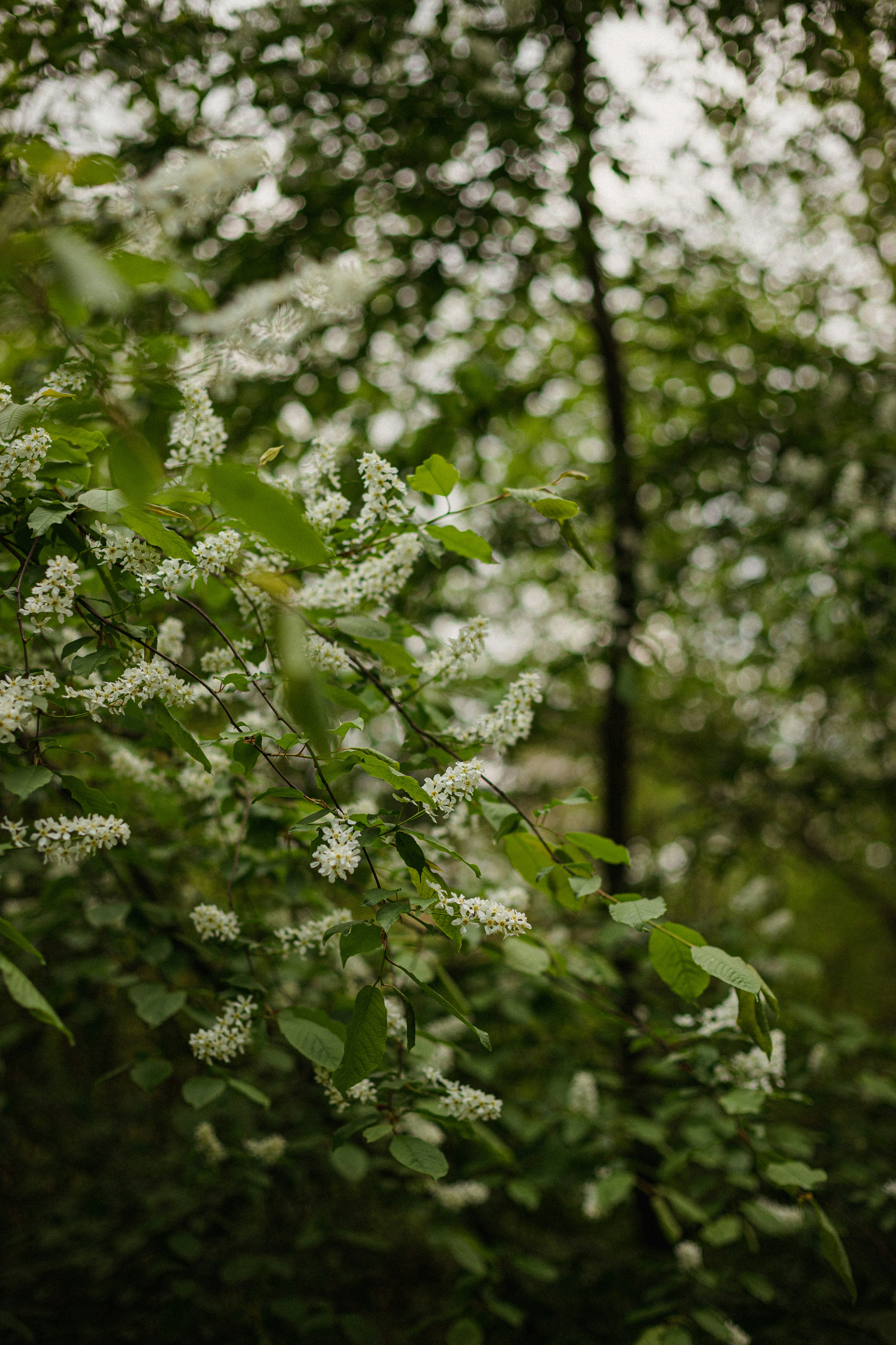 Photo by mykhailokopyt