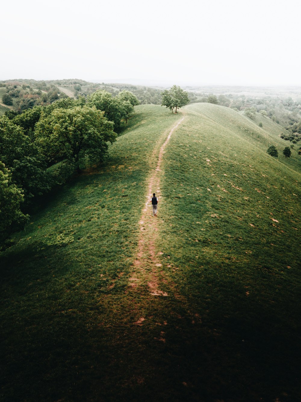 a person walking on a dirt path in a field with trees