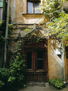 A weathered colonial doorway framed by lush green vines, sunlight casting gentle shadows on its textured walls.