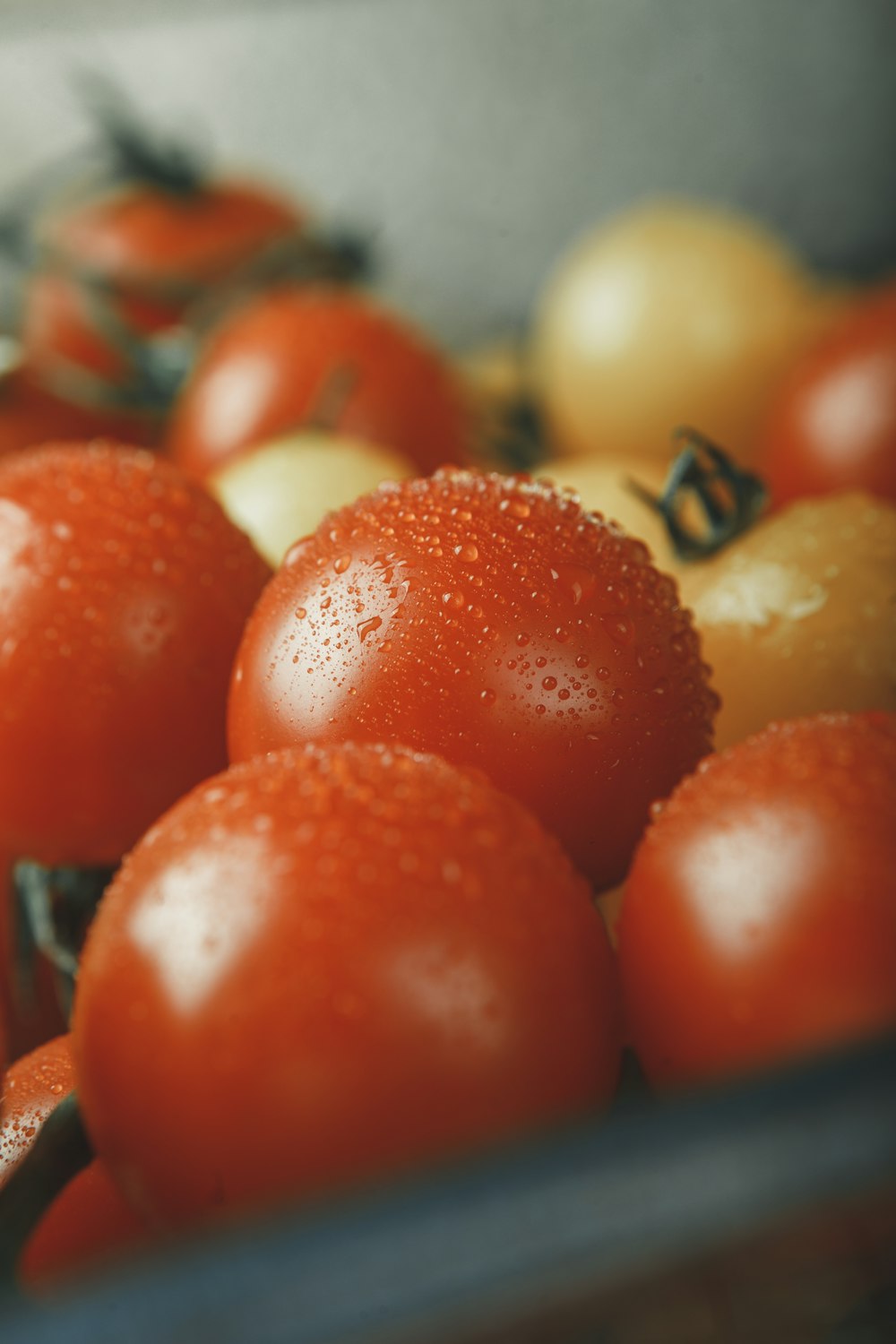 a bowl of tomatoes