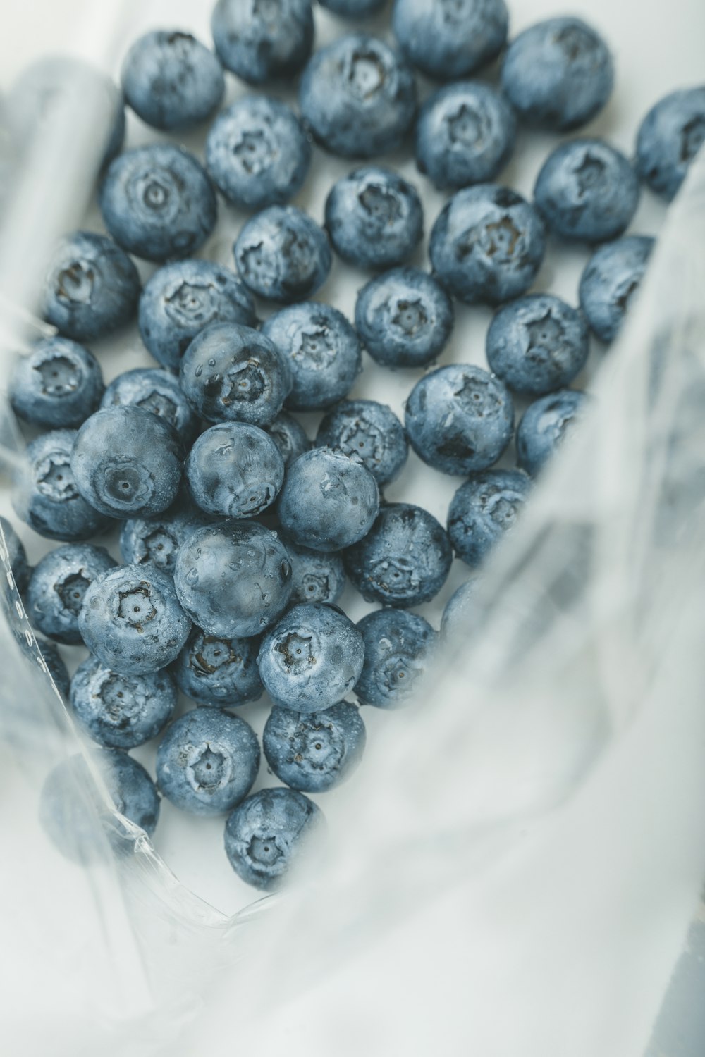 a box of blueberries